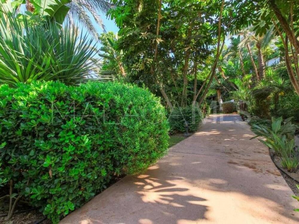 Markplanslägenhet for sale in Lomas del Rey