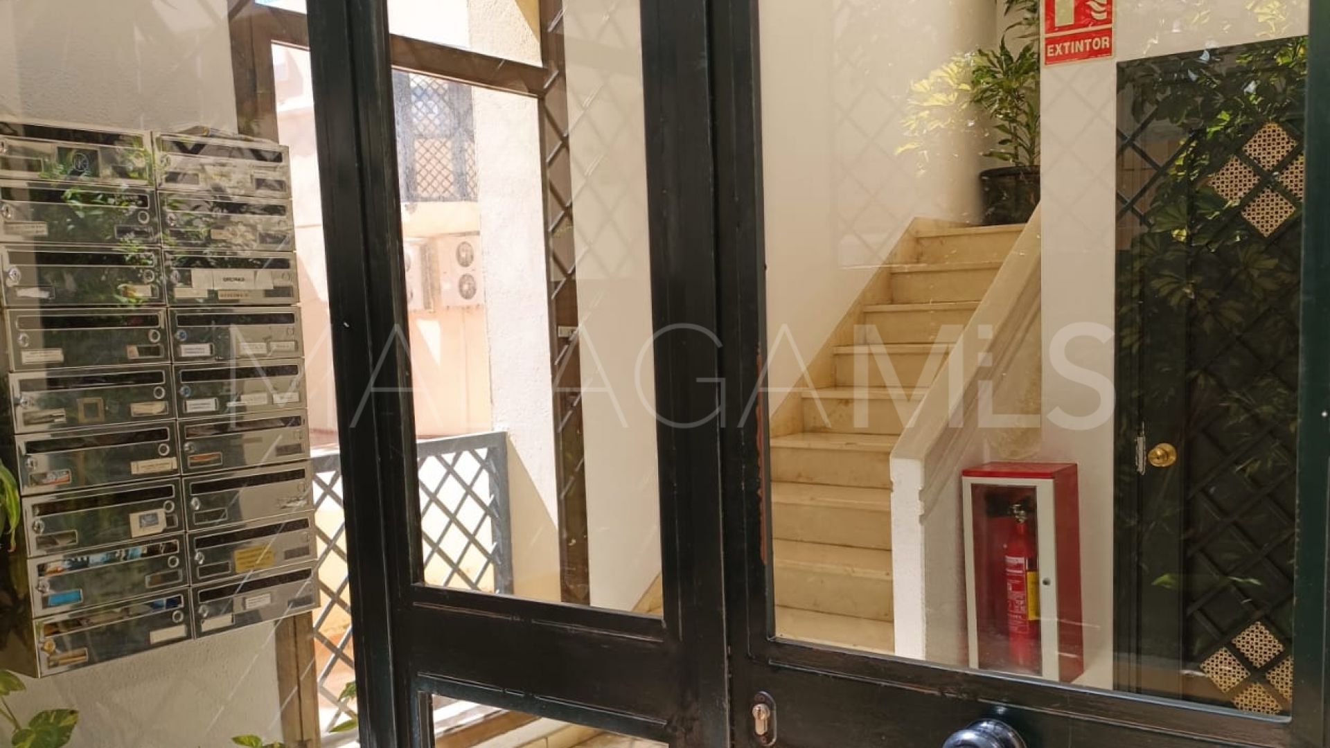 Buy oficina in Marbella Ciudad