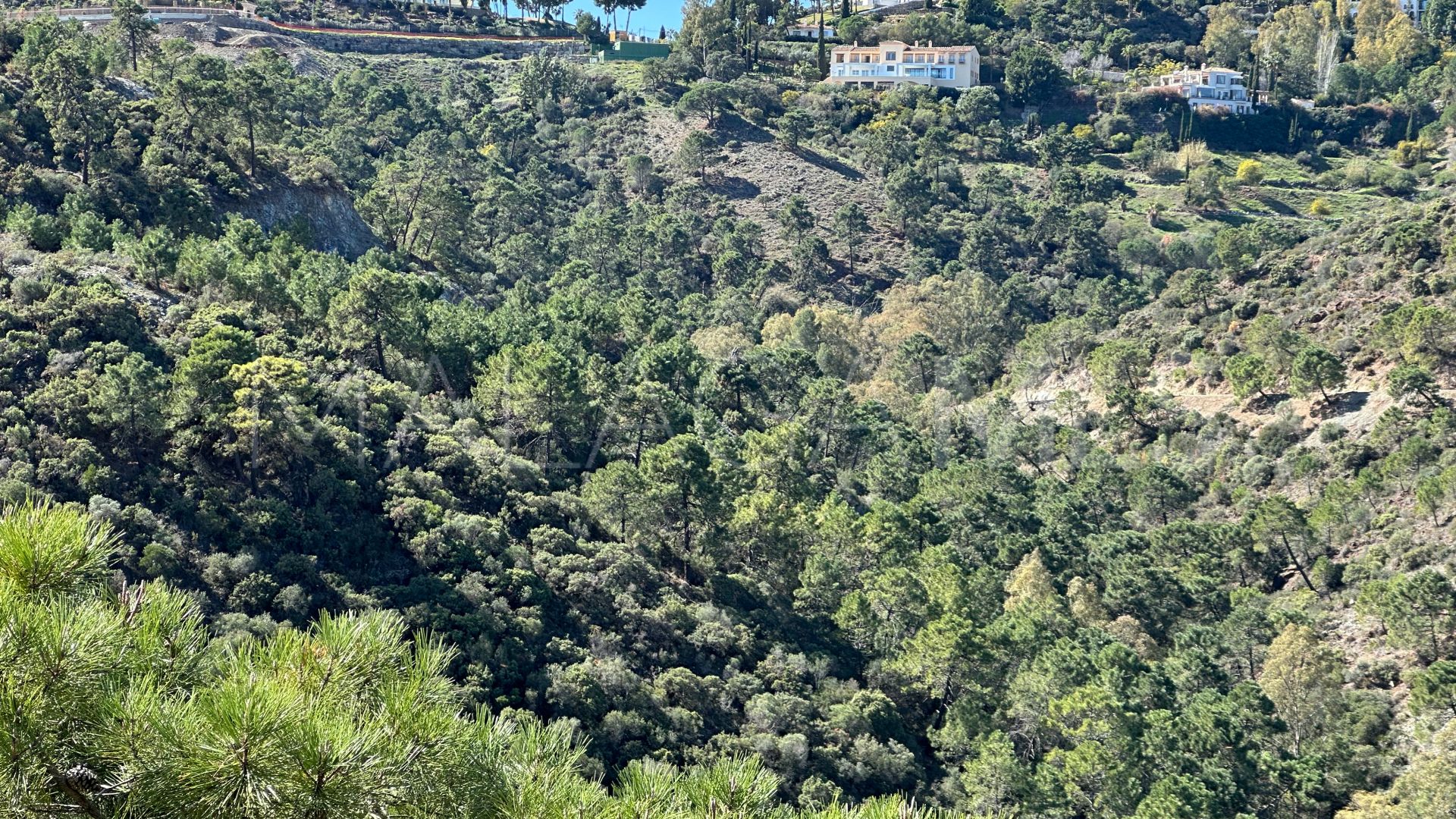 Villa for sale in El Madroñal