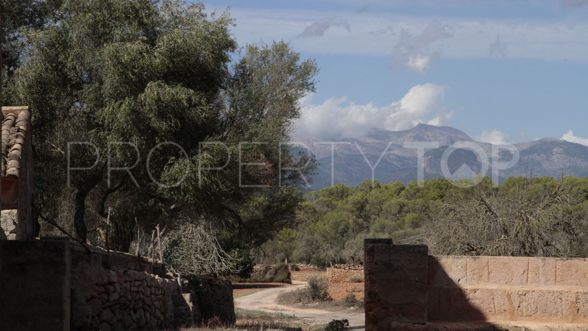 Algaida, finca con 14 dormitorios en venta