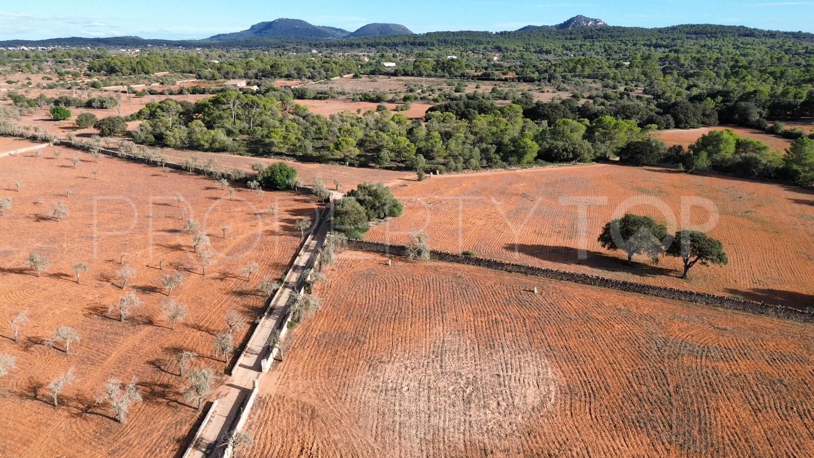 Algaida, finca con 14 dormitorios en venta