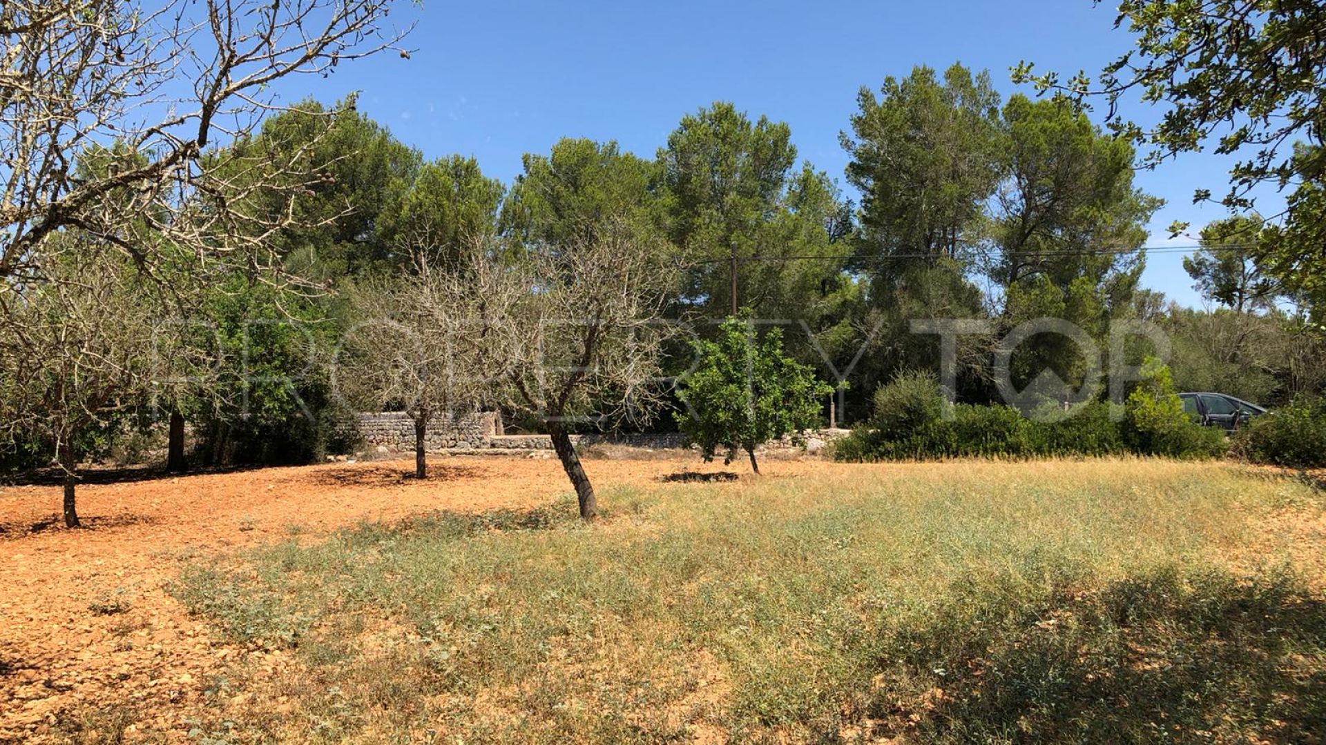 For sale residential plot in Porreres