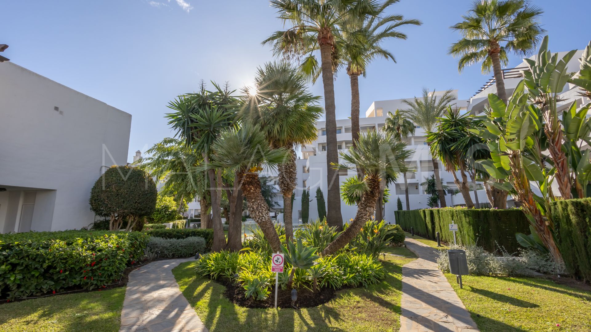 Lägenhet for sale in Nueva Andalucia