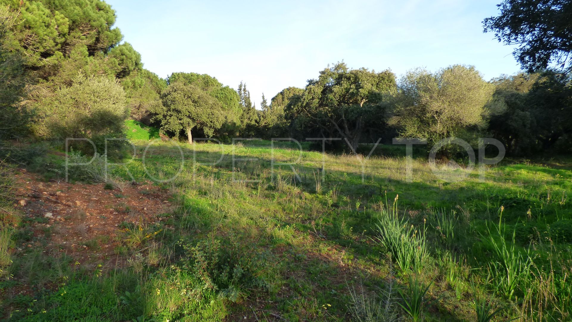 Plot in Los Altos de Valderrama for sale