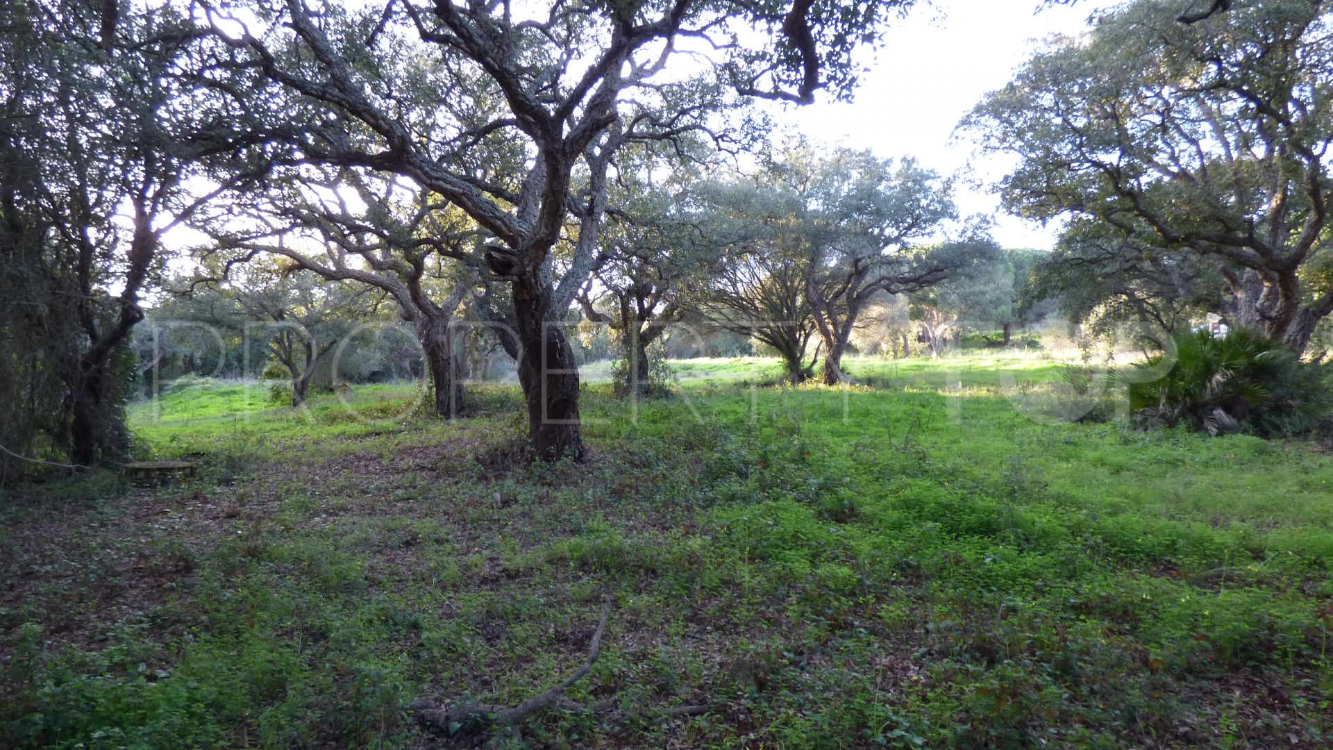 Plot in Los Altos de Valderrama for sale