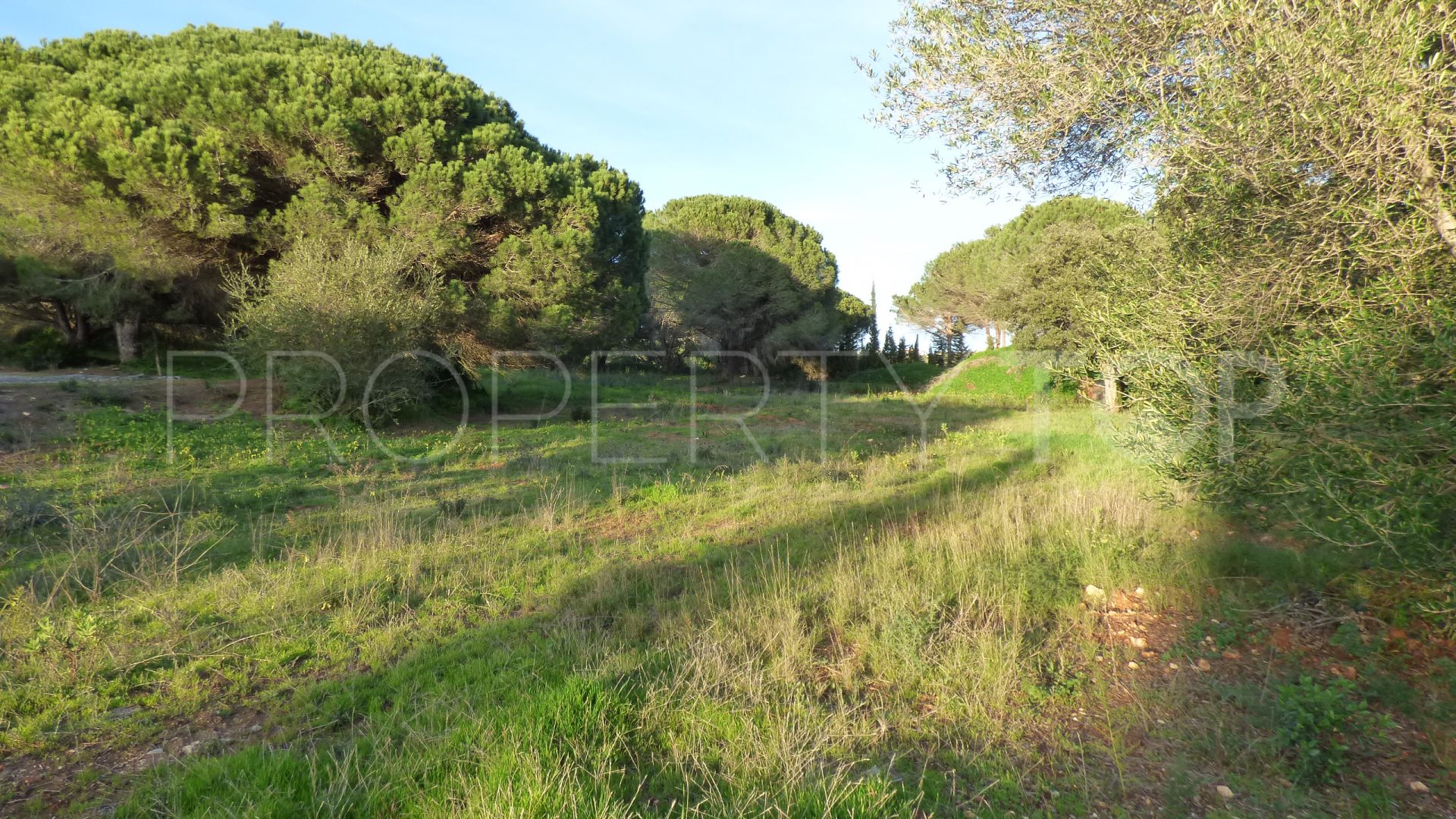 Plot in Los Altos de Valderrama for sale