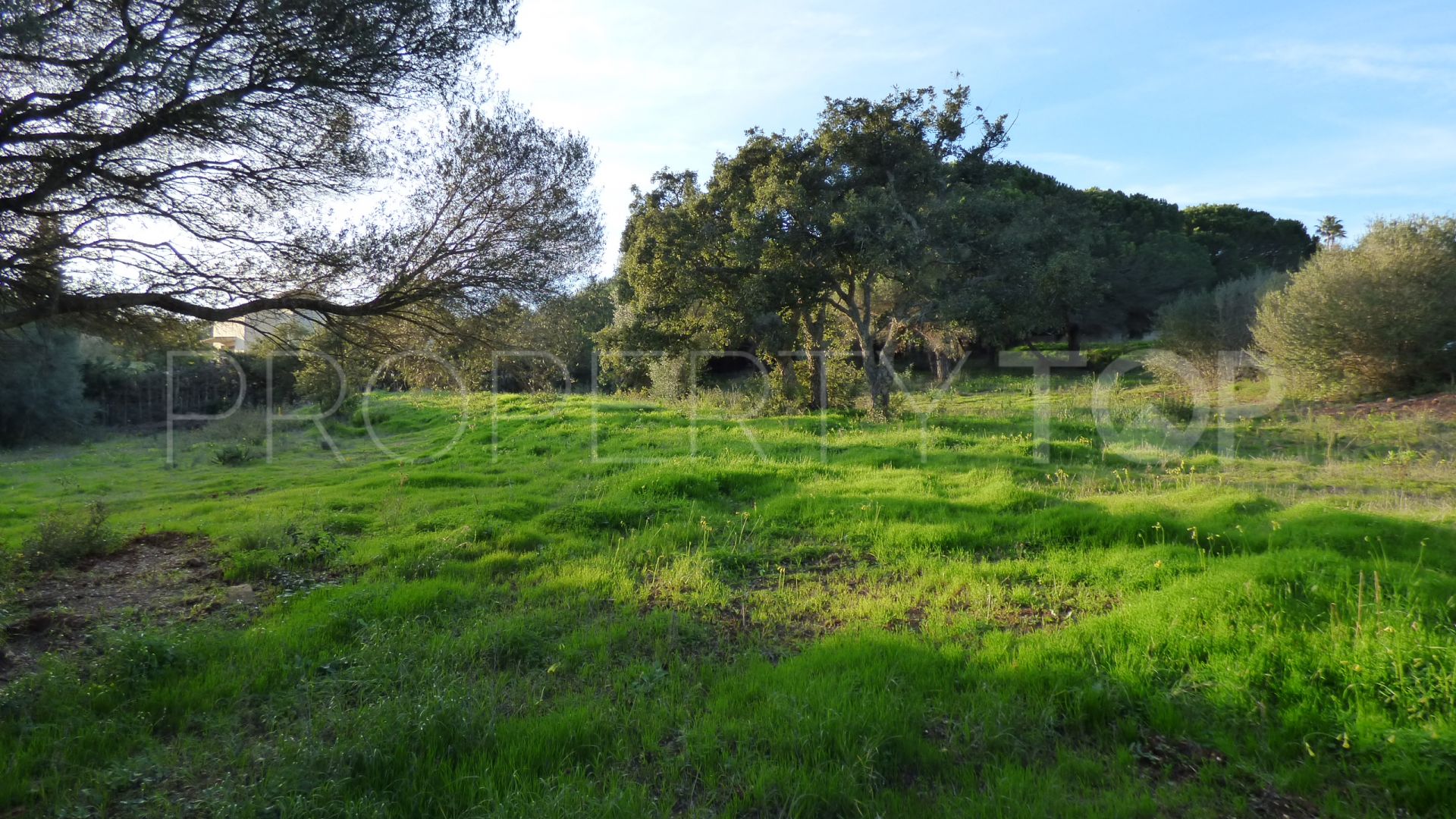 Plot in Los Altos de Valderrama for sale