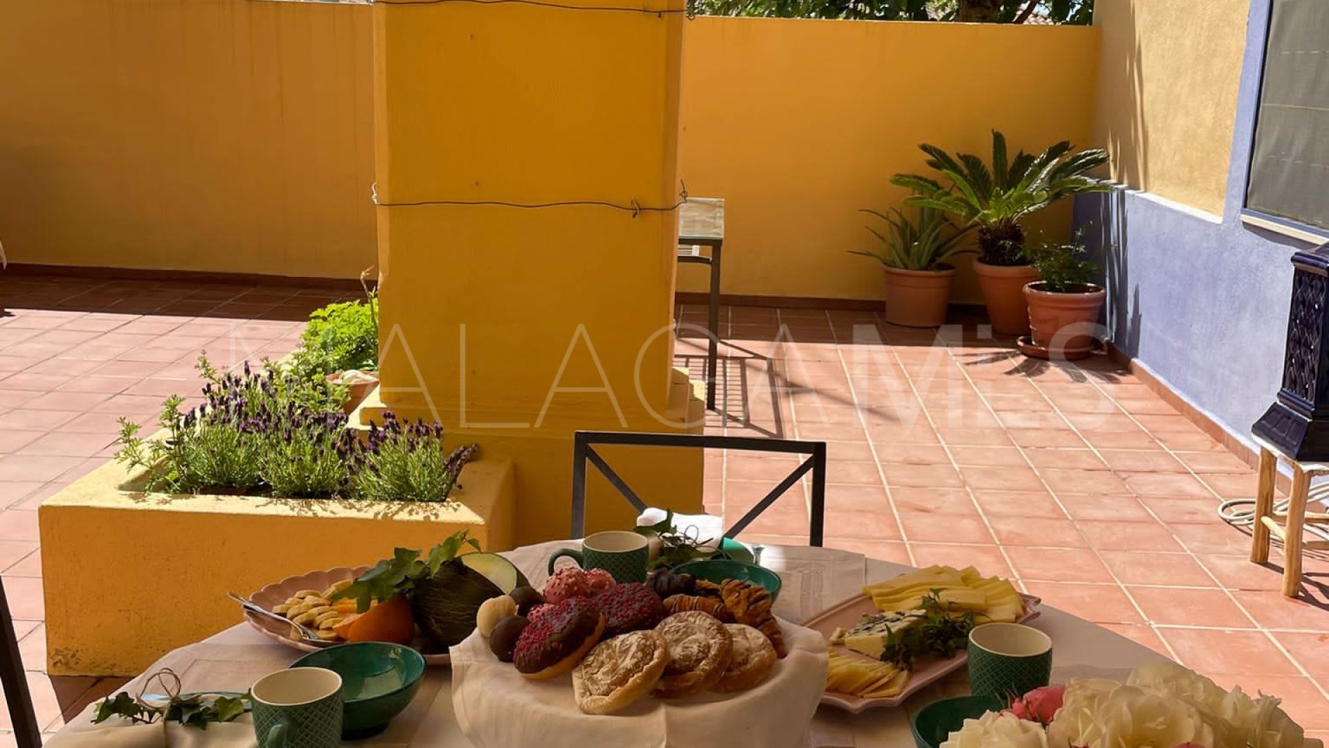 Apartamento planta baja for sale in Nueva Alcantara