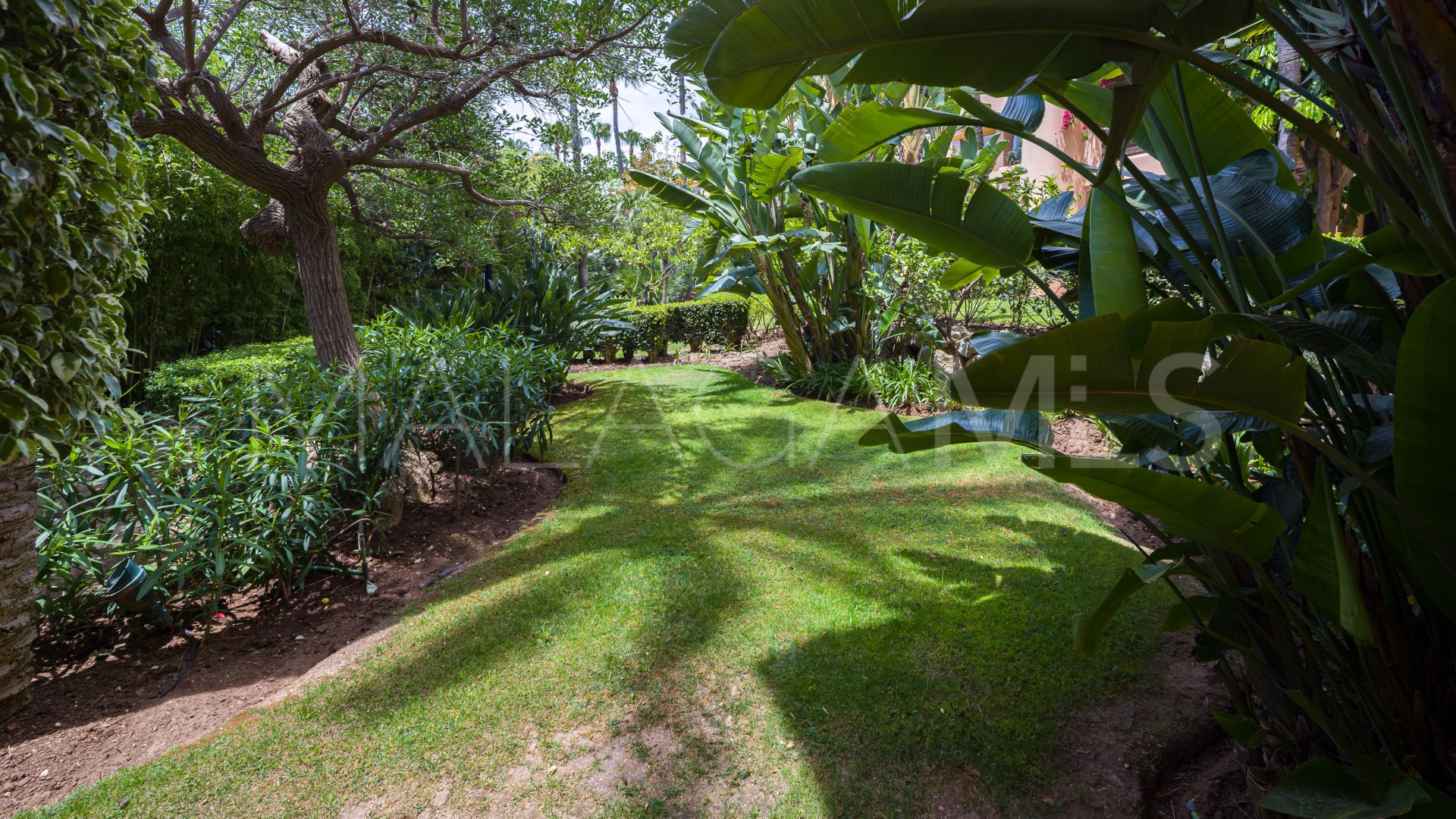 Appartement rez de chaussée for sale in Sierra Blanca