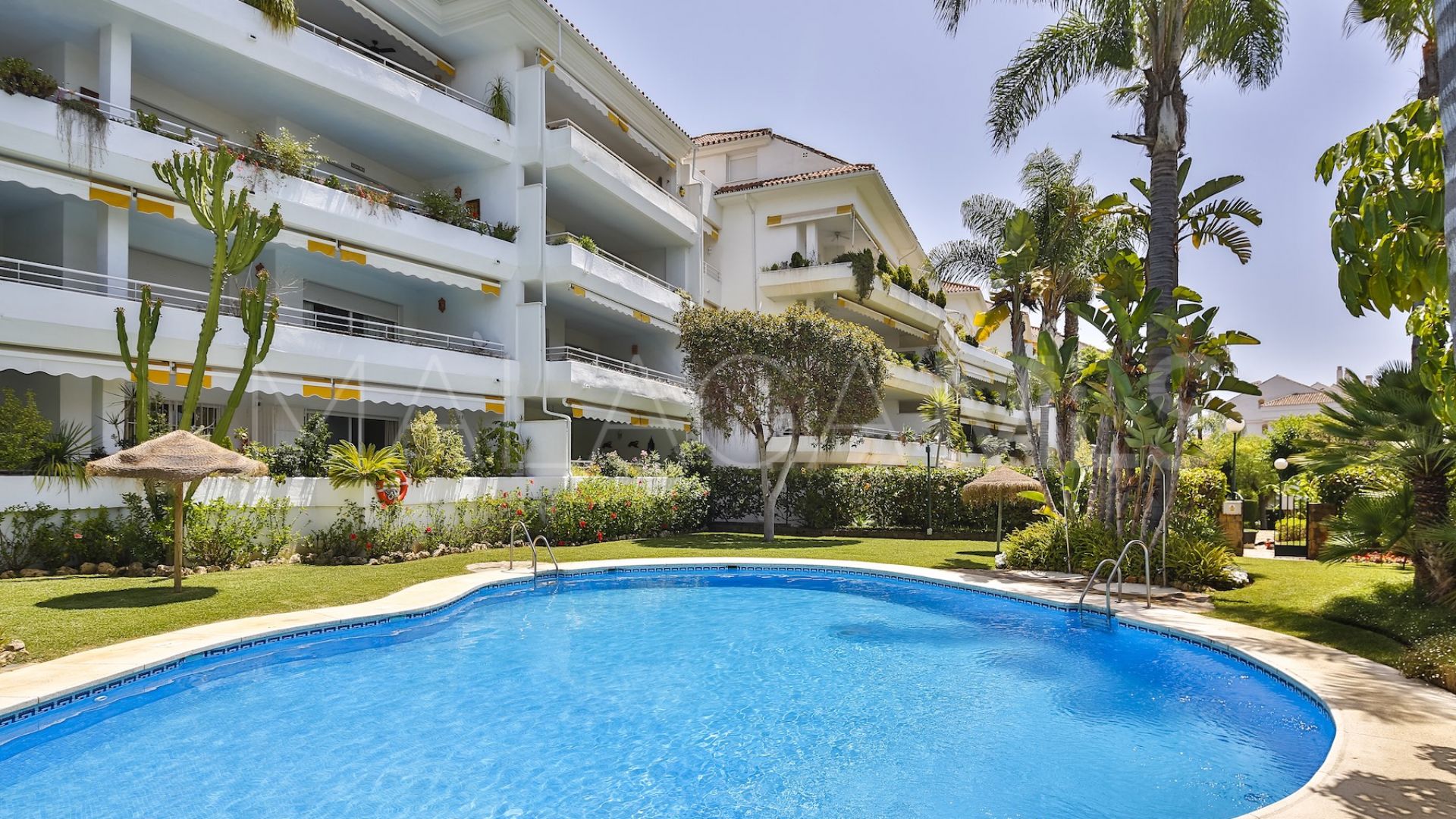 For sale apartment in Guadalmina Baja