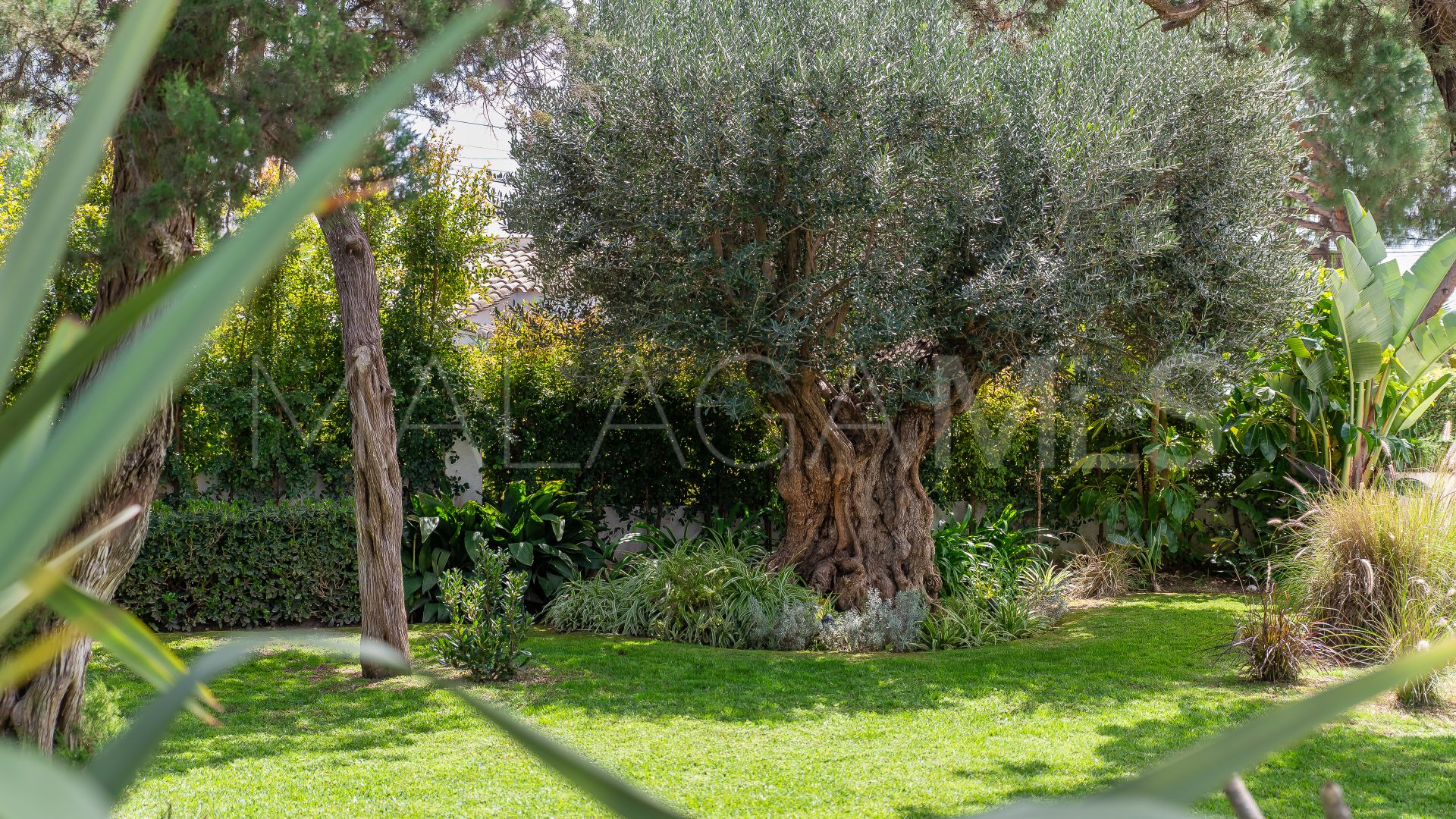 Villa for sale in Marbesa
