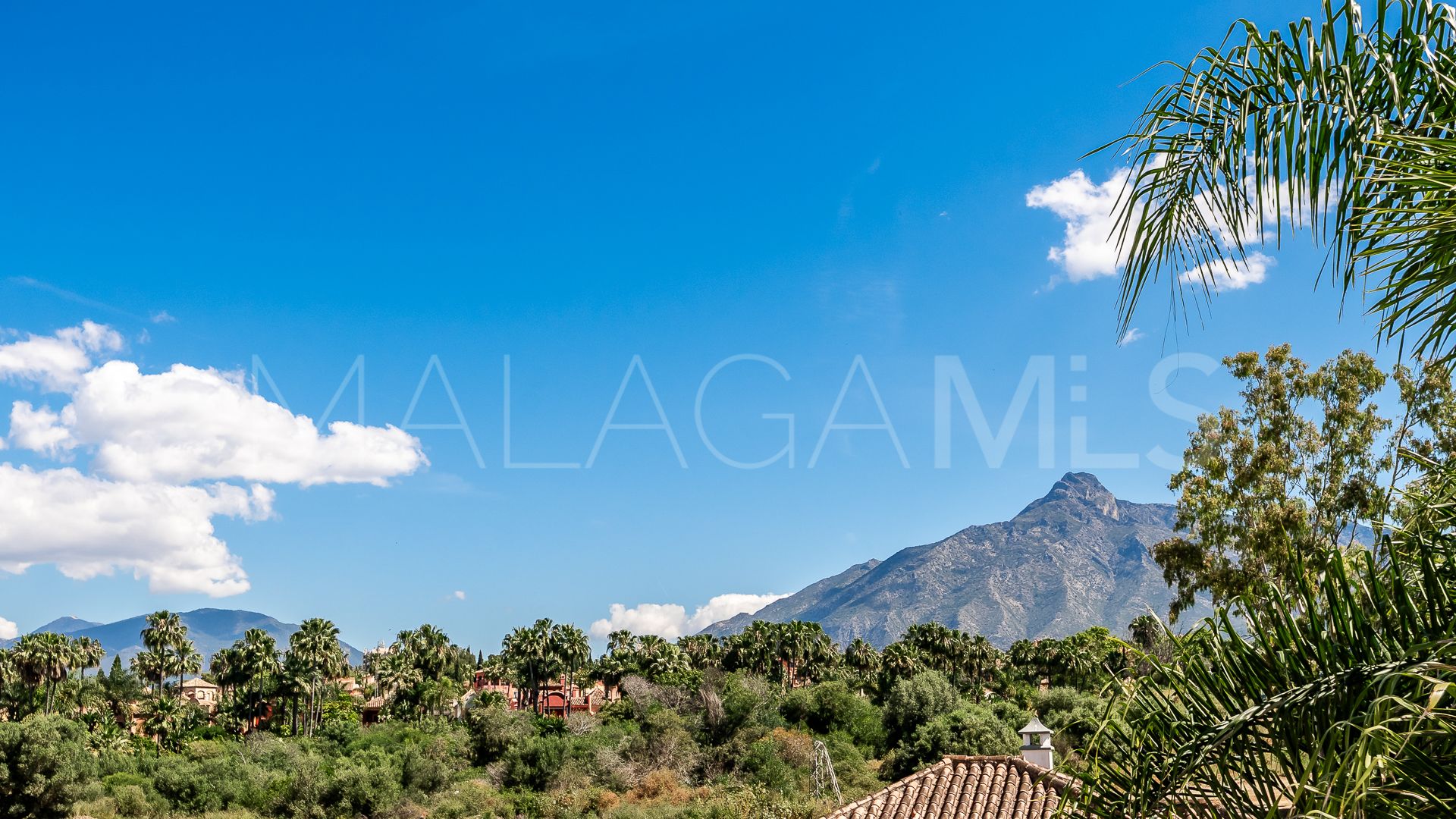 Radhus for sale in Marbella - Puerto Banus