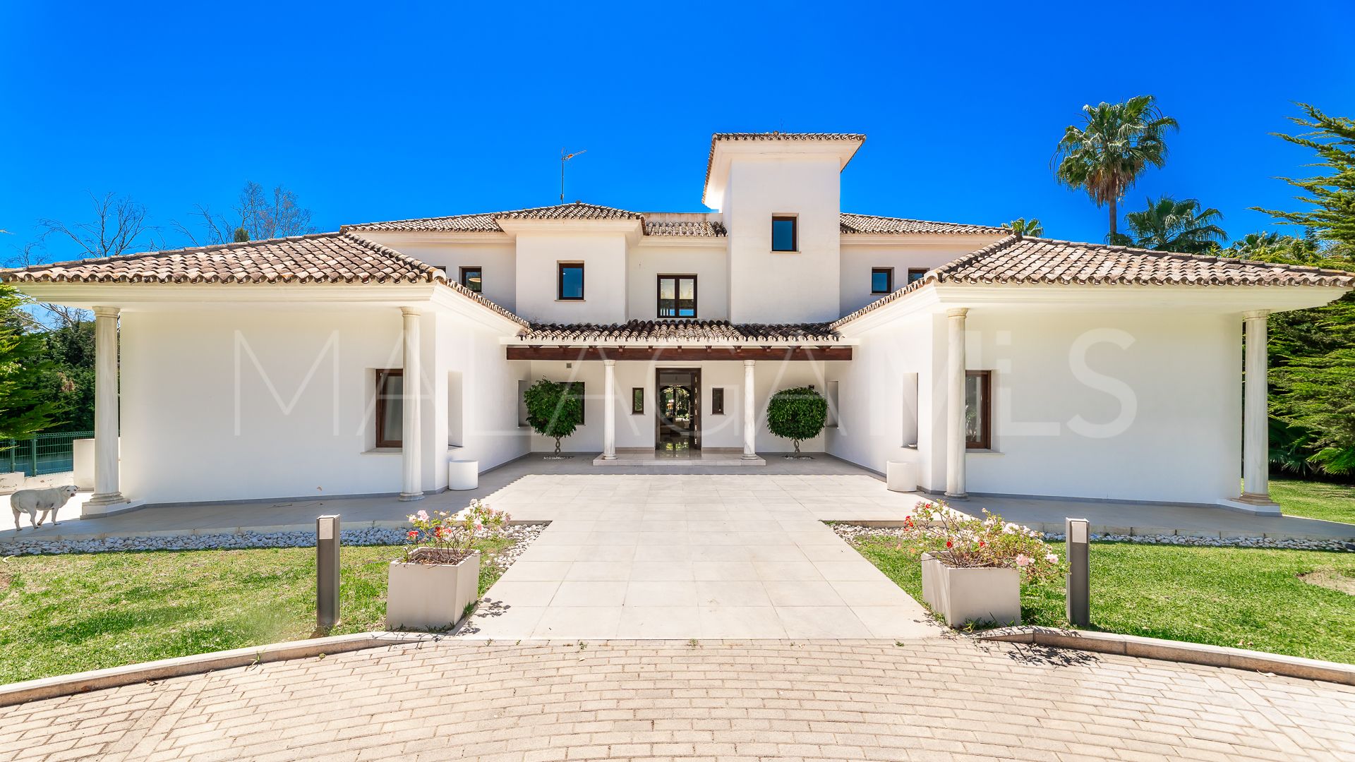Villa for sale in Guadalmina Baja