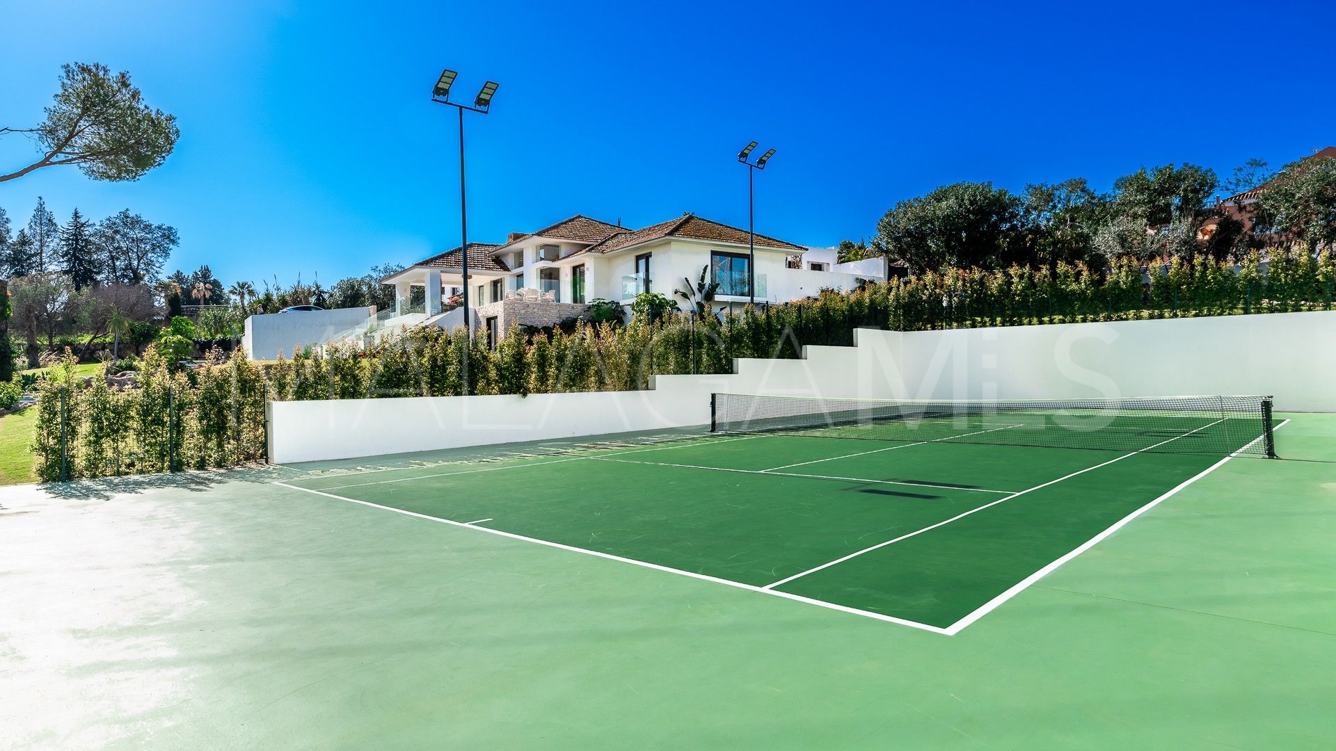 6 bedrooms Guadalmina Alta villa for sale