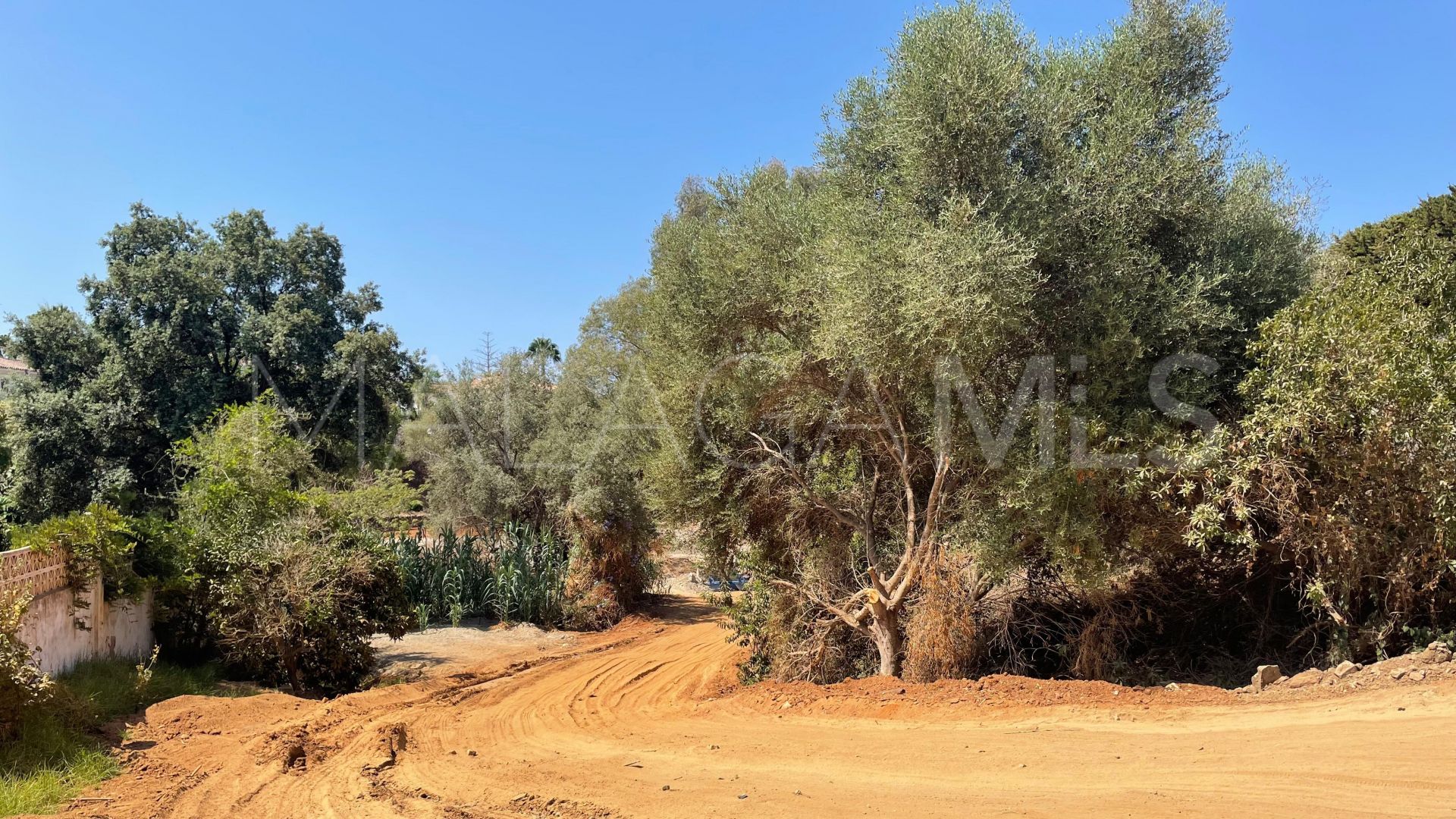 Terrain for sale in El Rosario