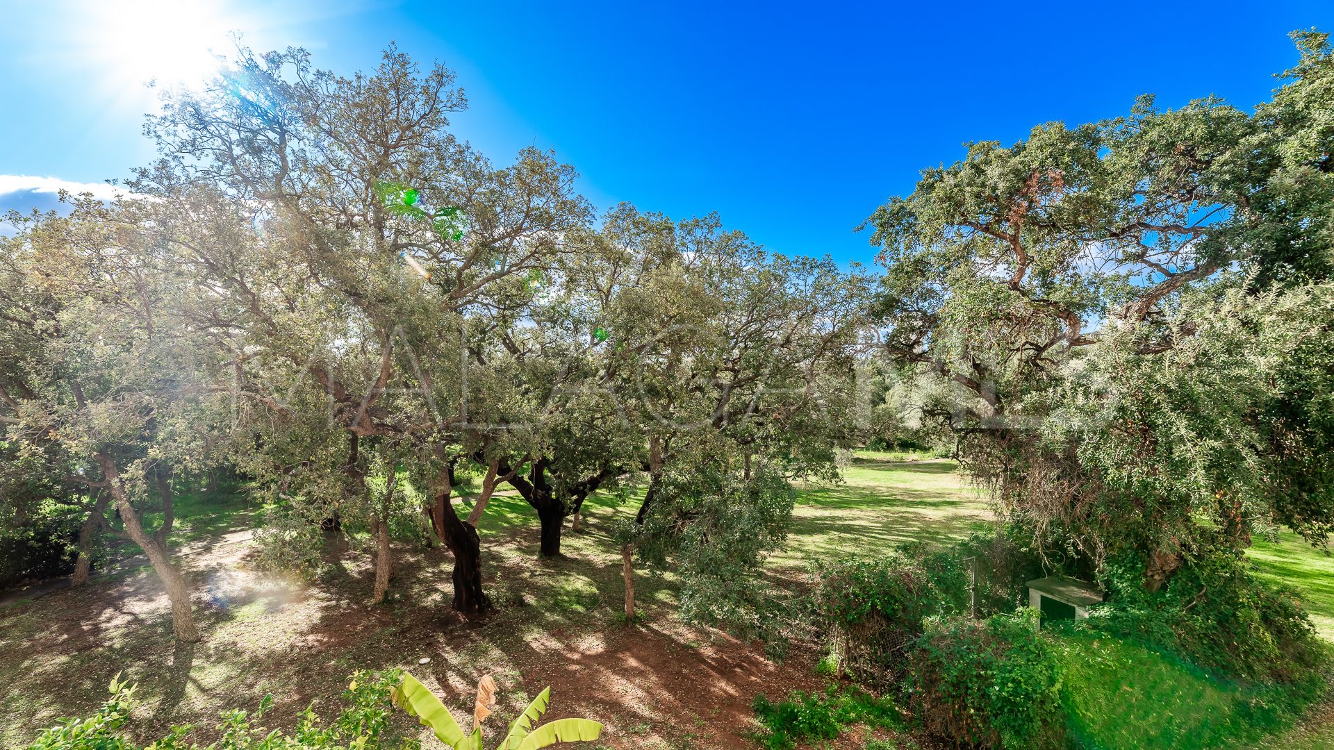 Appartement for sale in Elviria