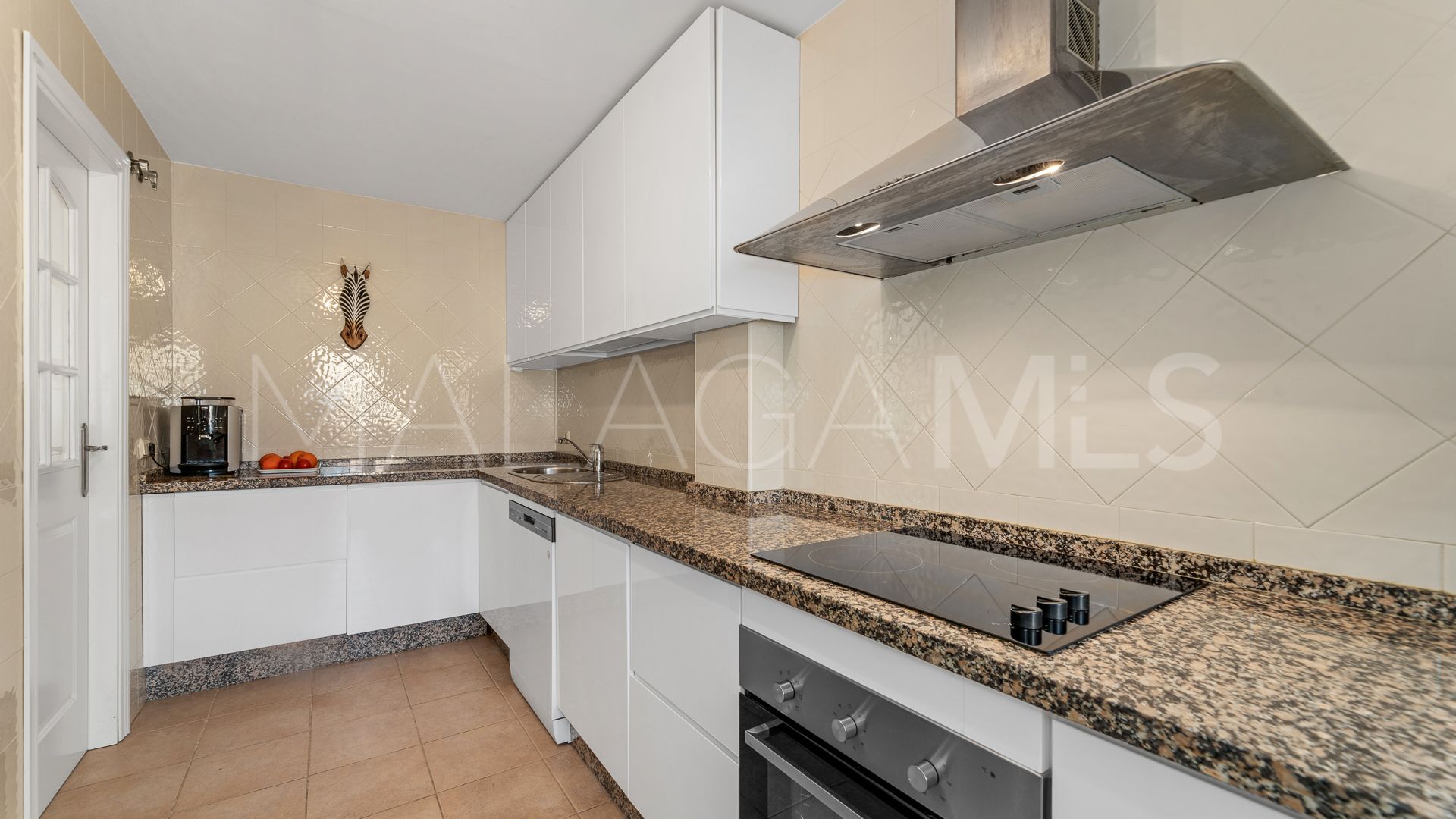 Appartement for sale in Elviria