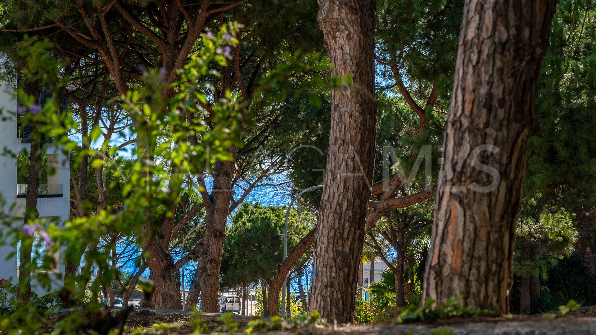 Apartamento planta baja for sale de 3 bedrooms in Elviria