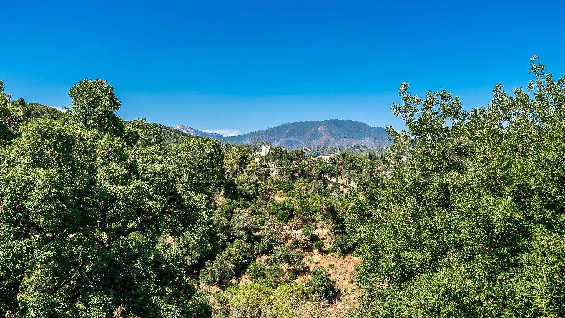 Villa for sale in El Madroñal