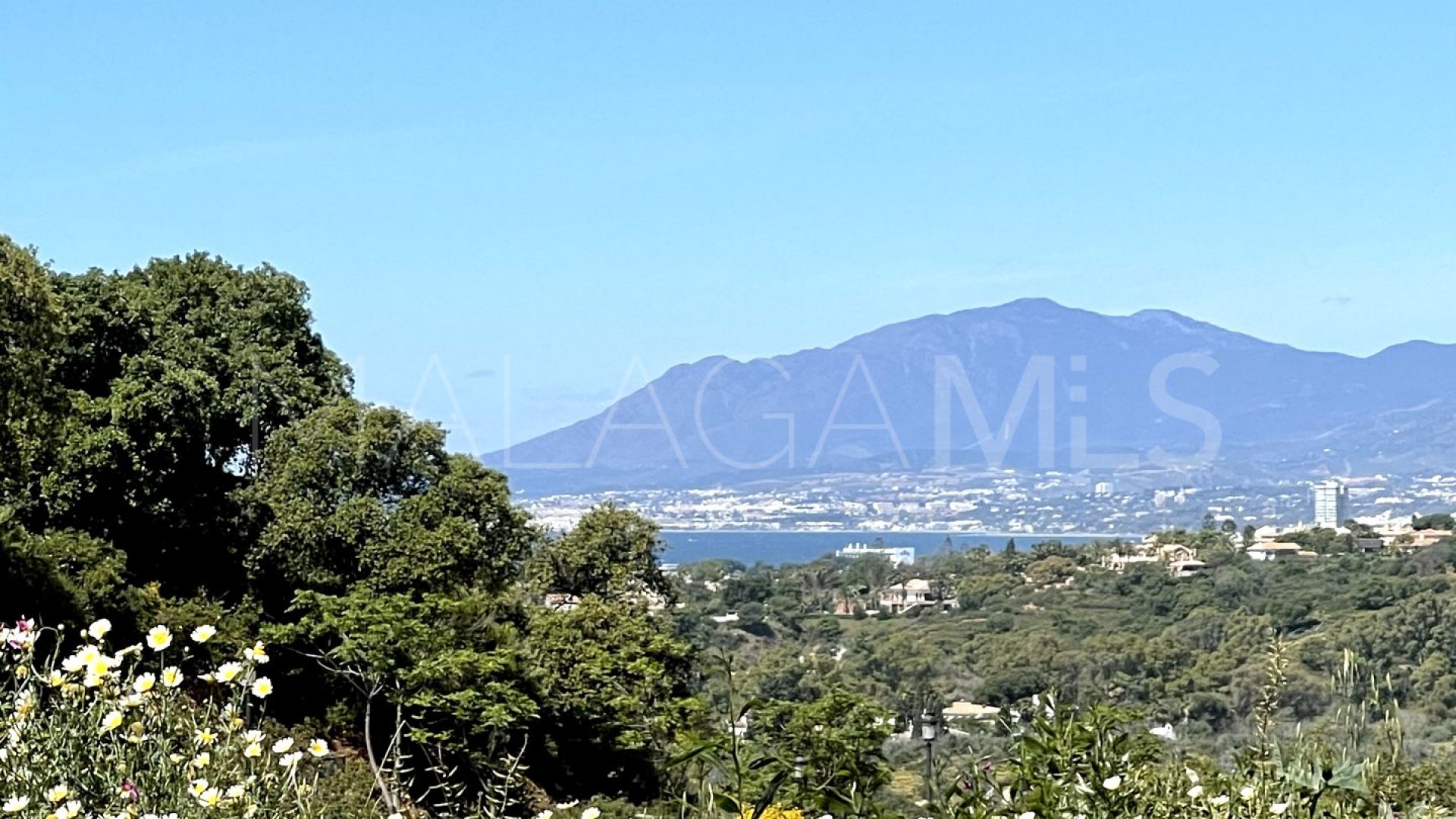 For sale Elviria plot