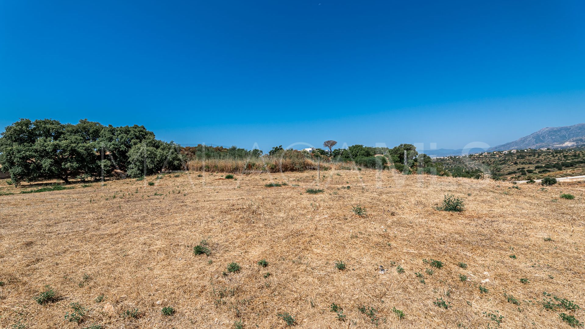 For sale Elviria plot