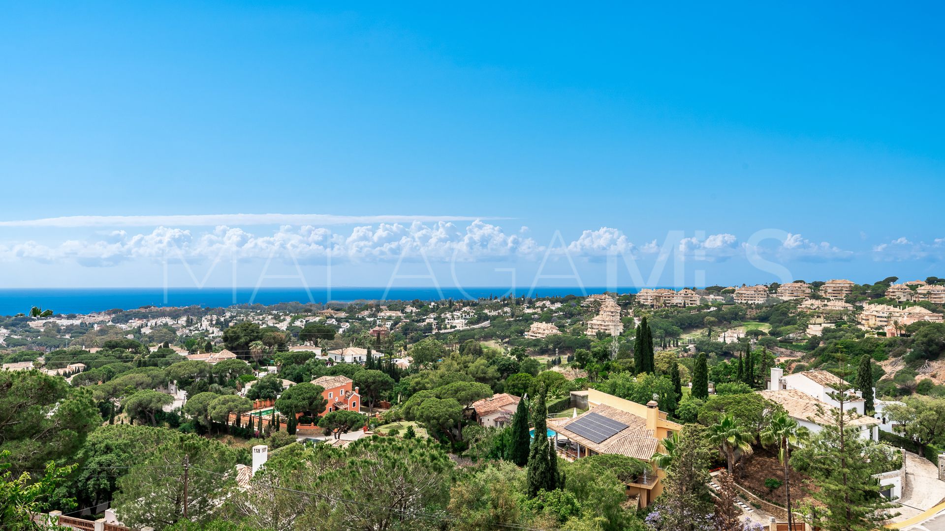 Buy Elviria villa