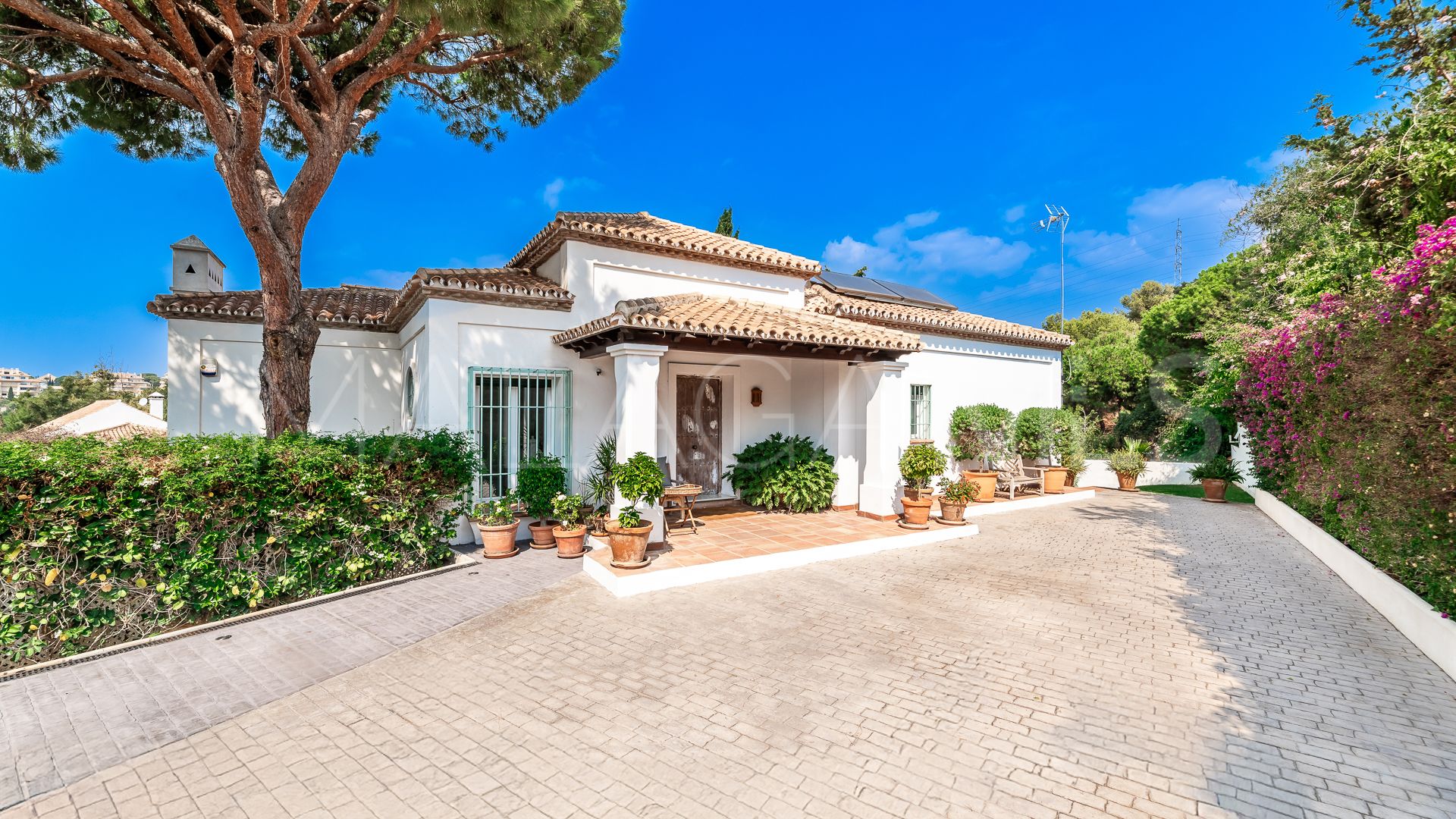 Buy villa in Elviria