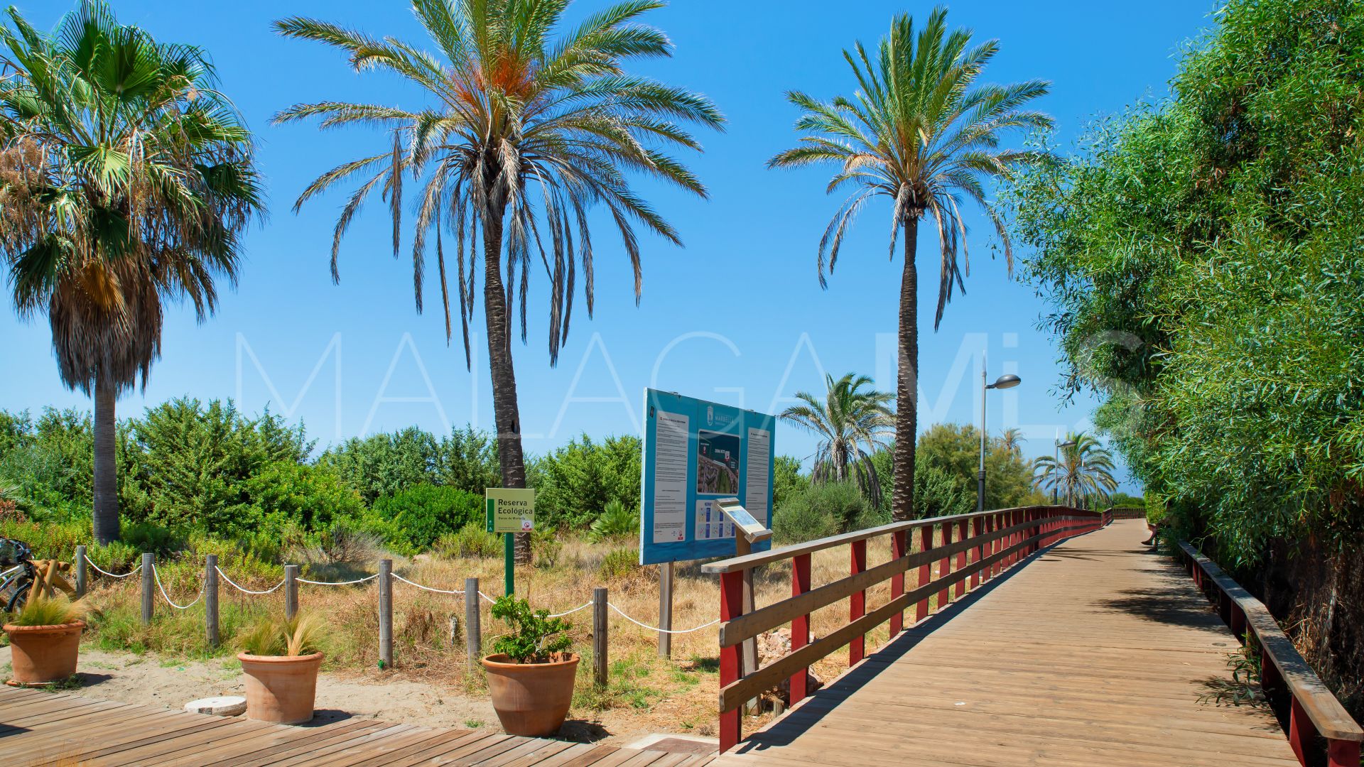 2 bedrooms Los Monteros ground floor apartment for sale