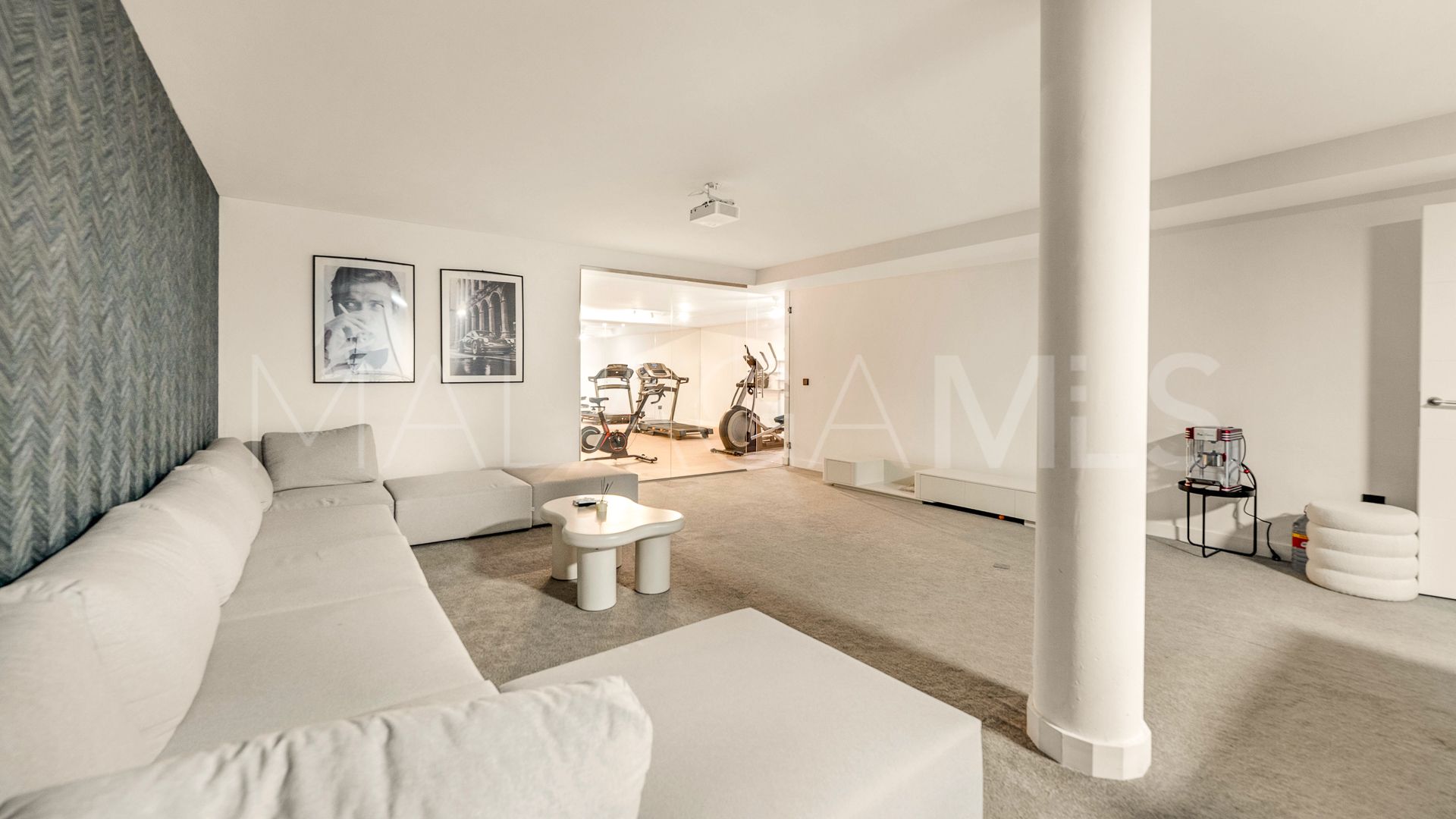 Buy villa in Cabopino