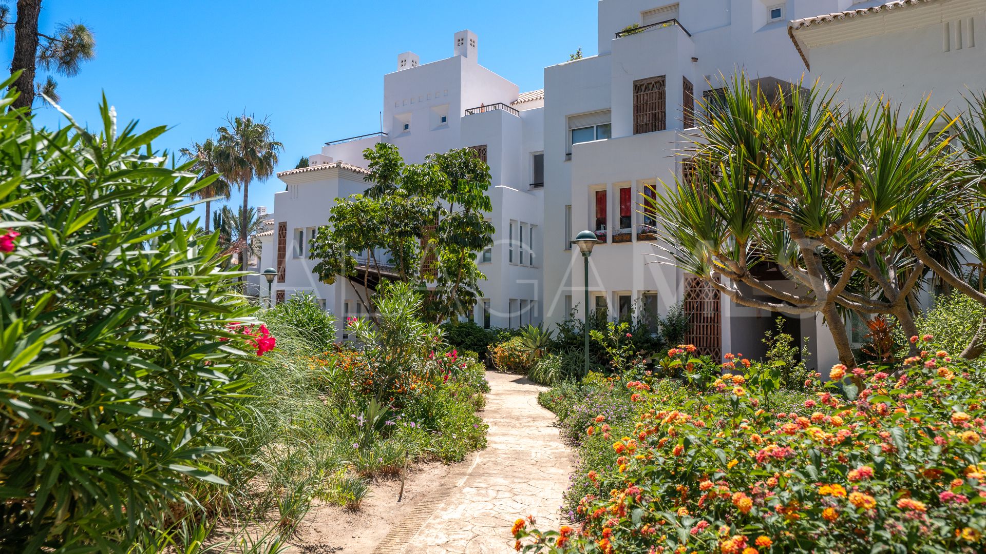Markplanslägenhet for sale in Los Monteros