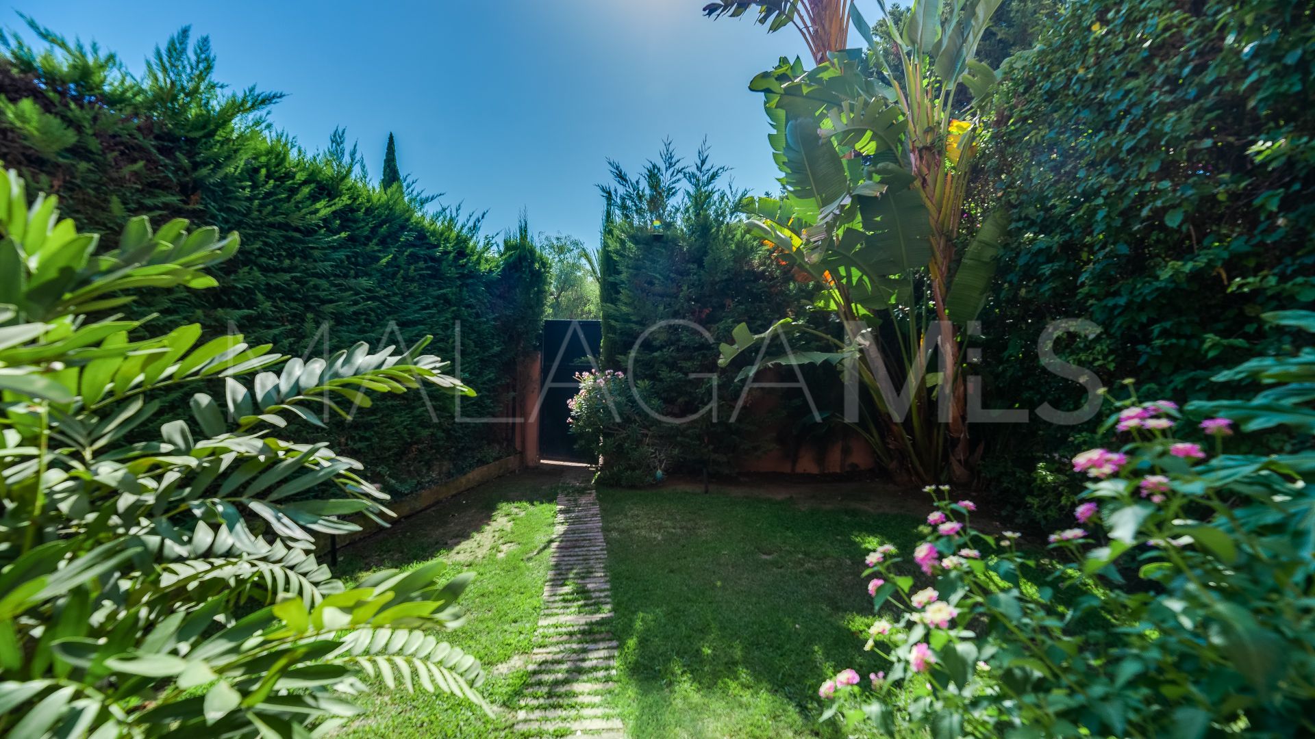 5 bedrooms Los Monteros town house for sale