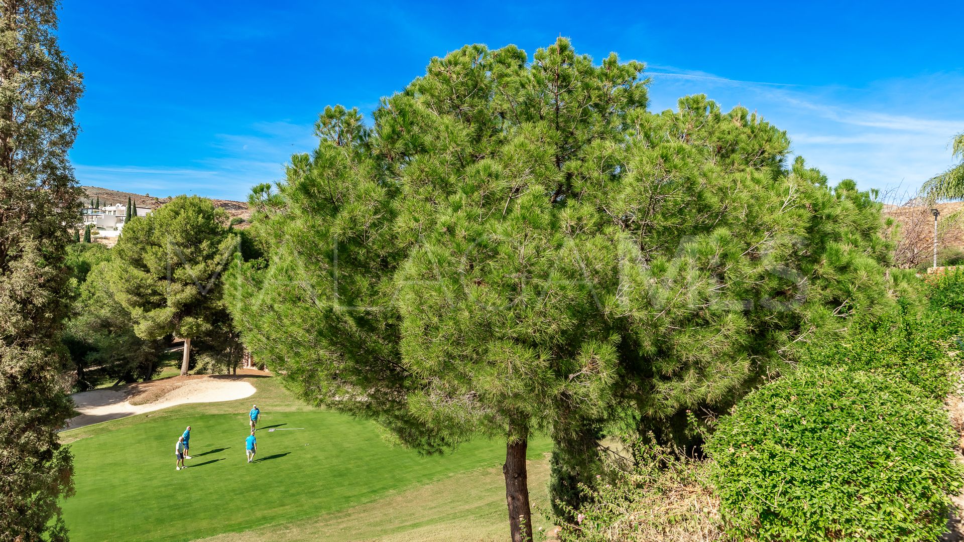 Appartement rez de chaussée for sale in Los Flamingos Golf