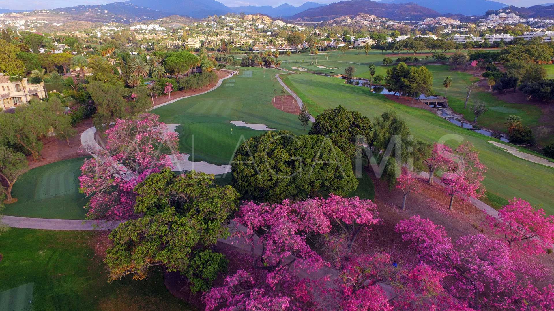 Villa for sale in Nueva Andalucia