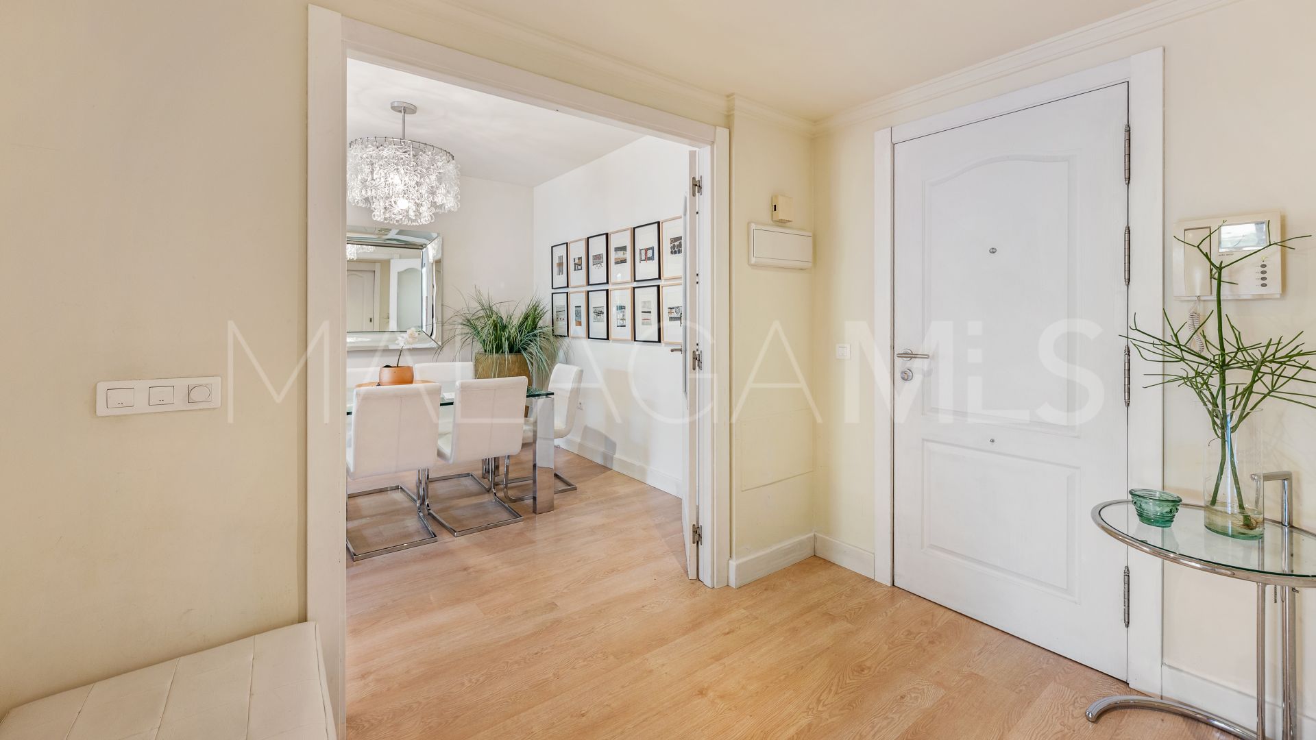 Buy Nagüeles apartment