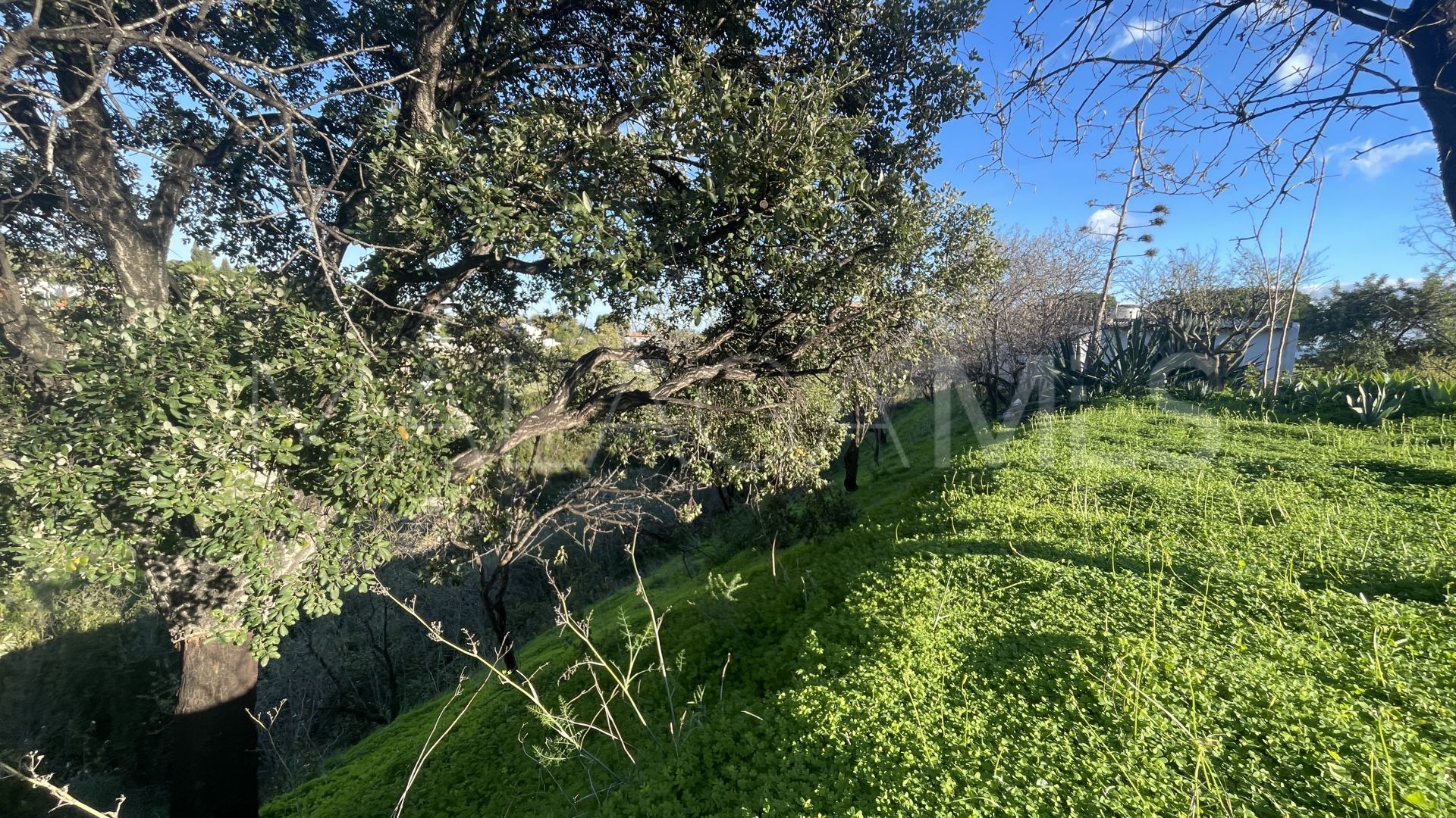 Finca for sale in Estepona