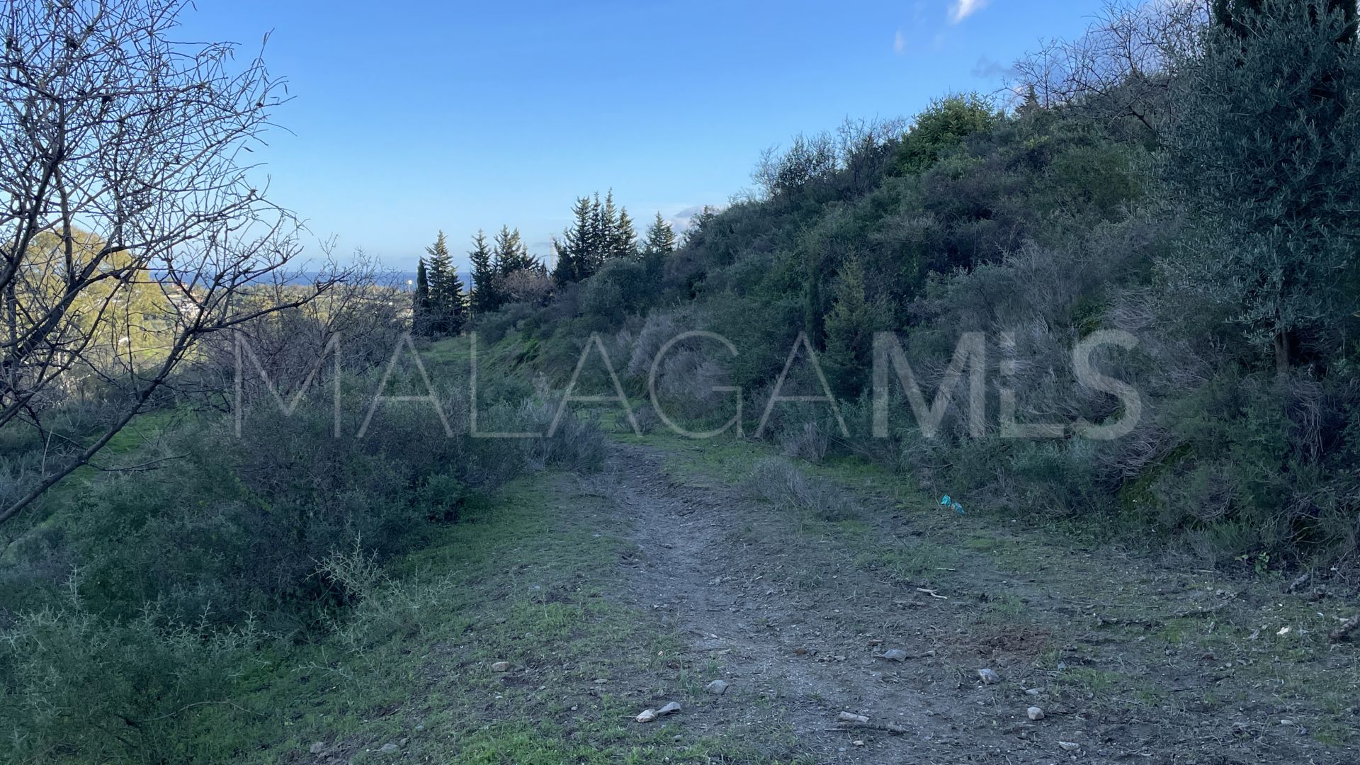 Finca for sale in Estepona