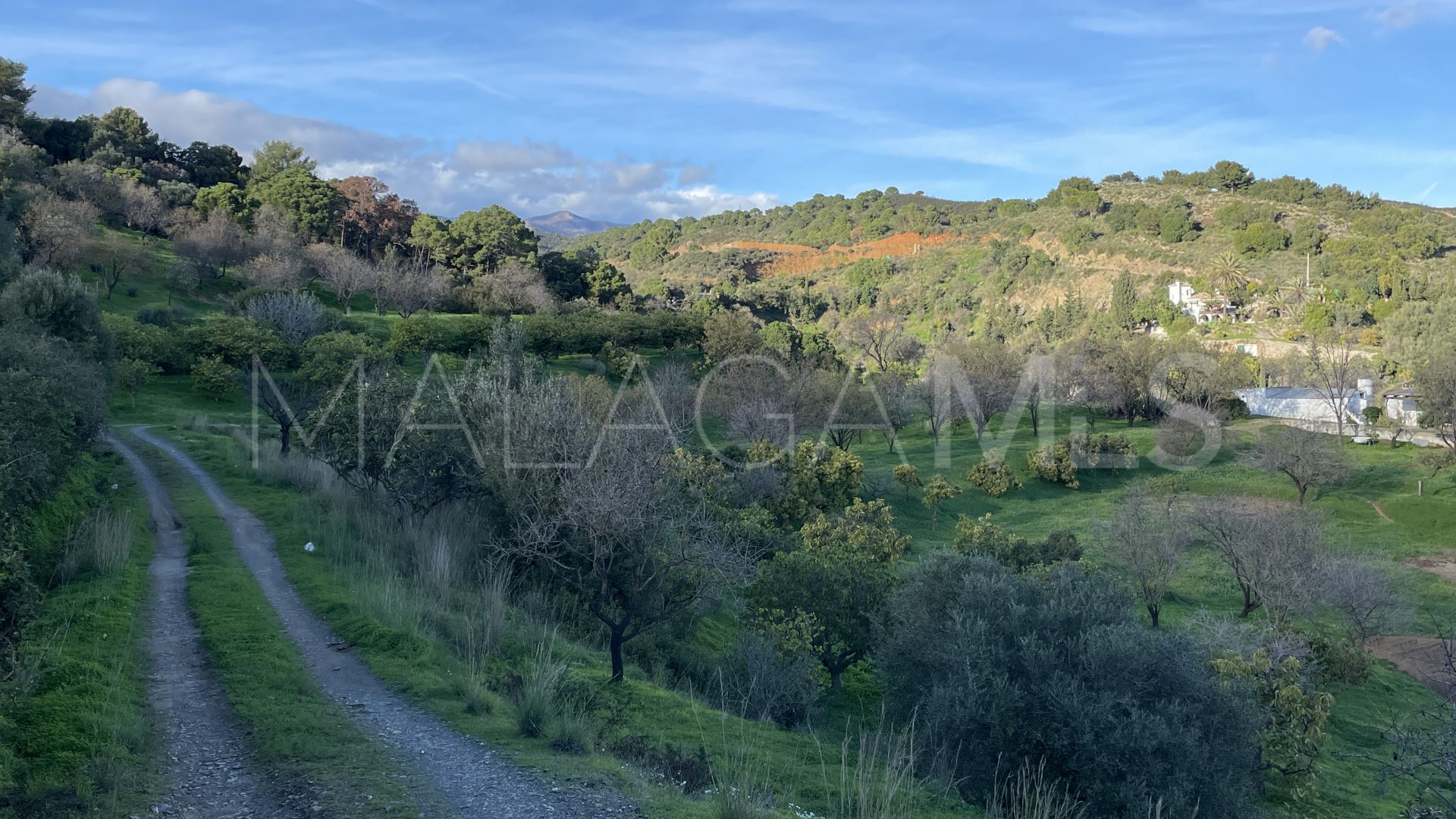 Finca for sale in Estepona