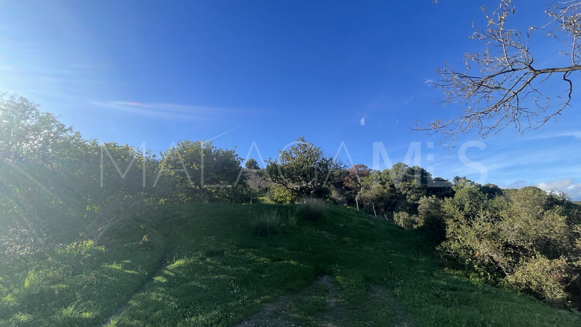 Finca for sale in Estepona