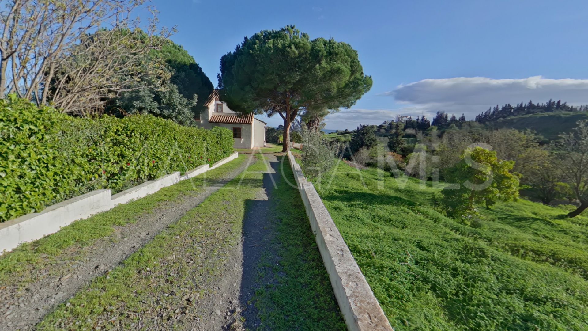 Finca for sale in Estepona