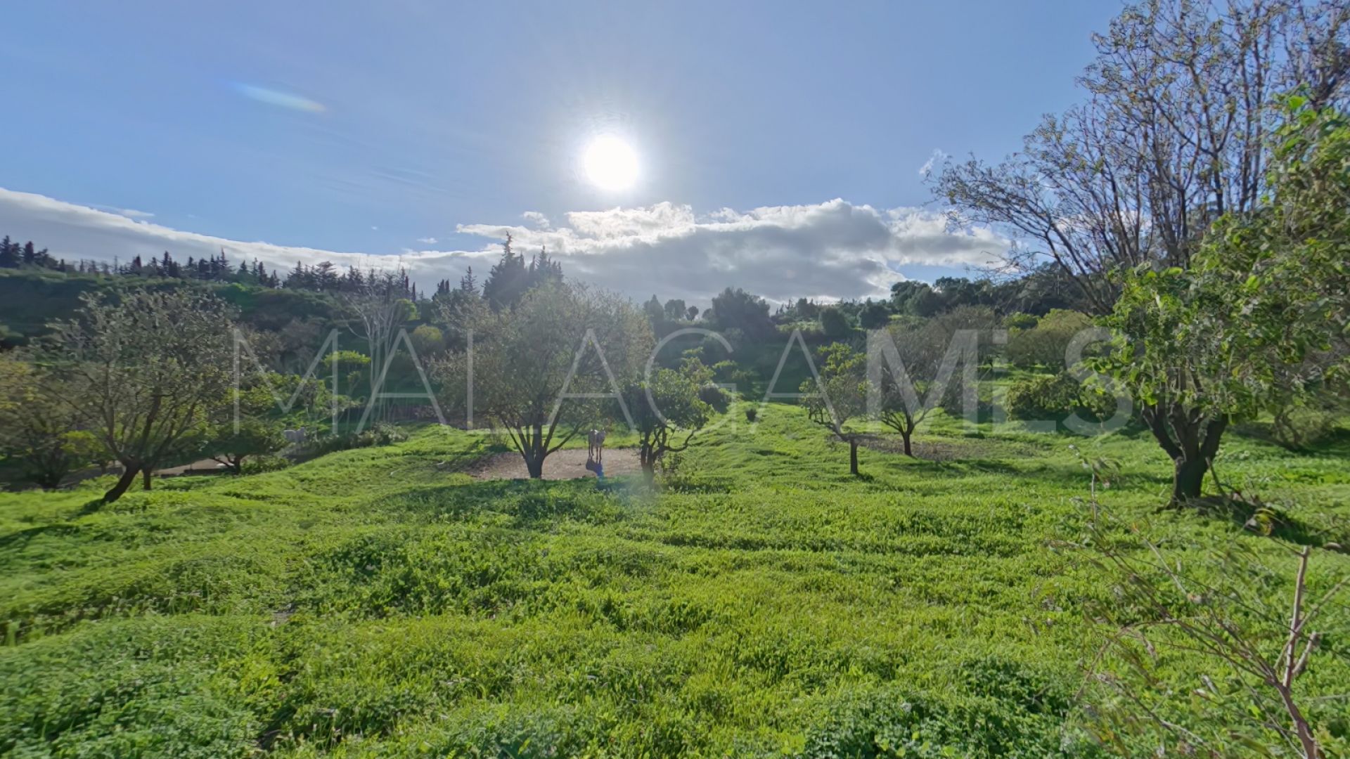 Finca for sale in Estepona