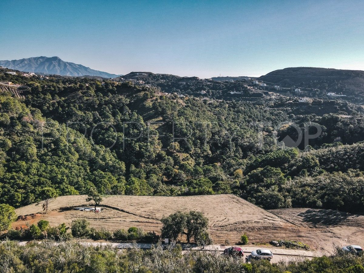 Plot for sale in Monte Mayor