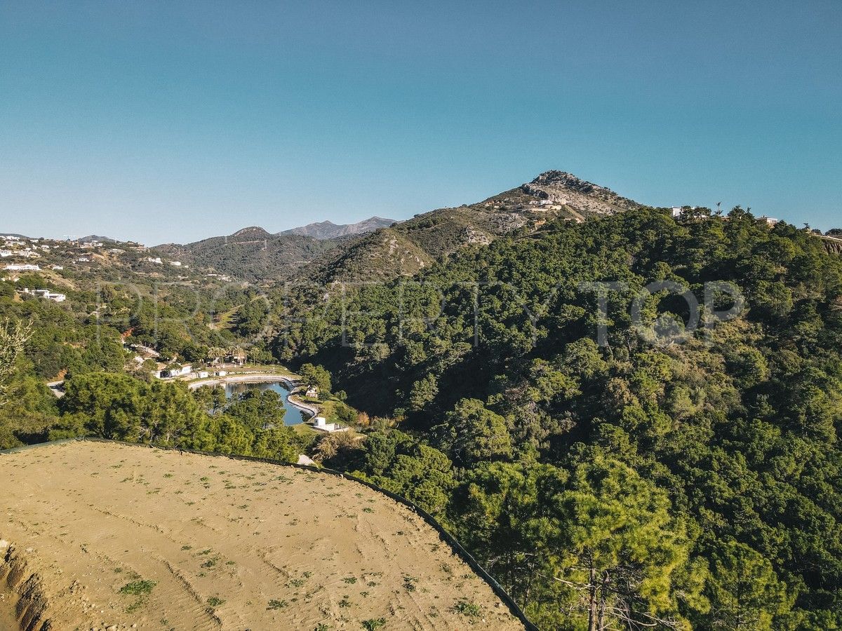 Monte Mayor, parcela a la venta