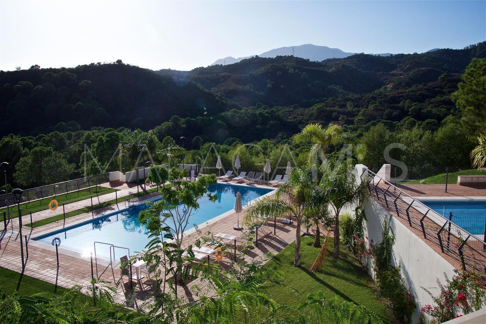 2 bedrooms apartment in Estepona for sale