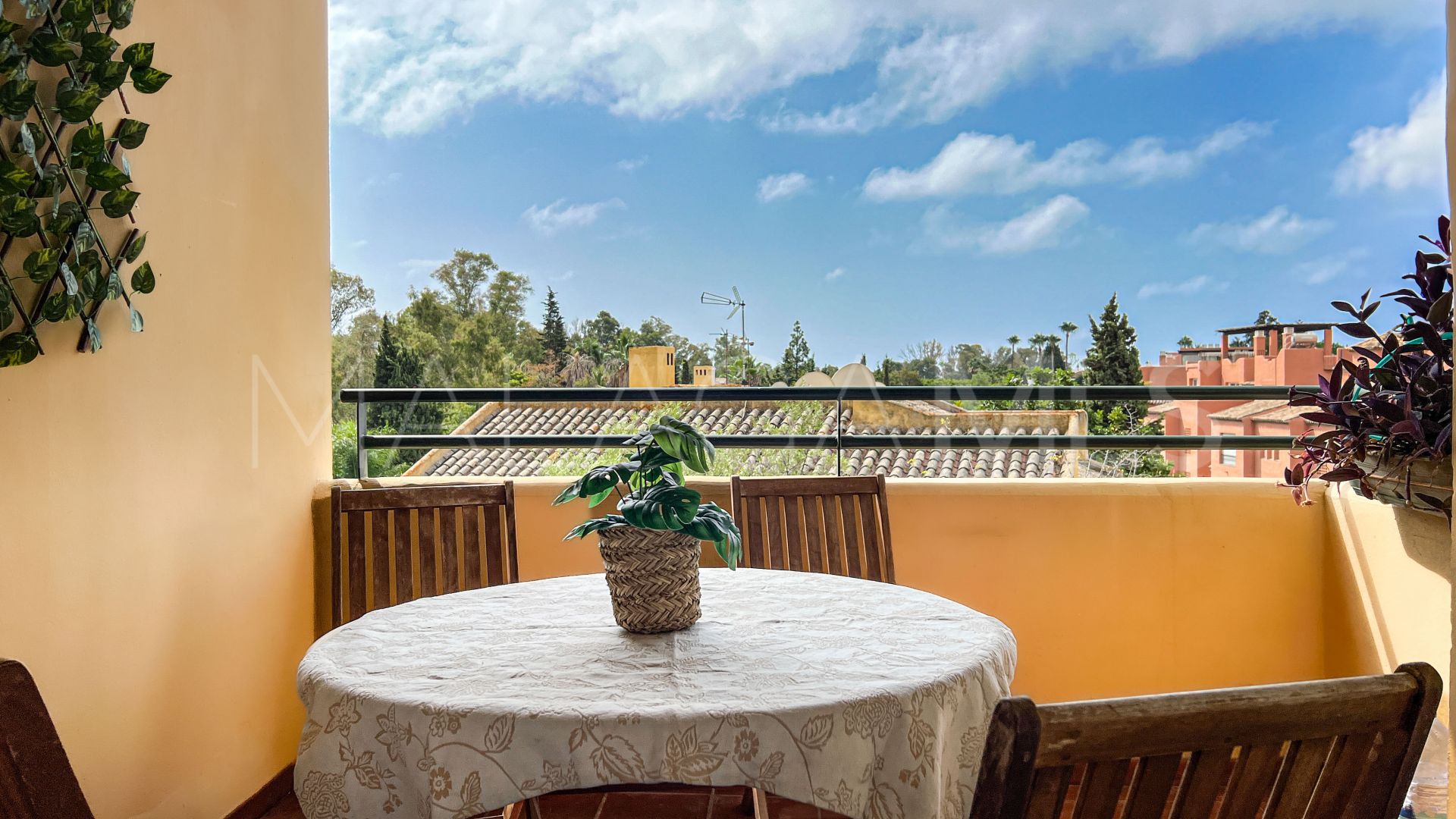 Appartement terrasse for sale in Guadalmina Baja