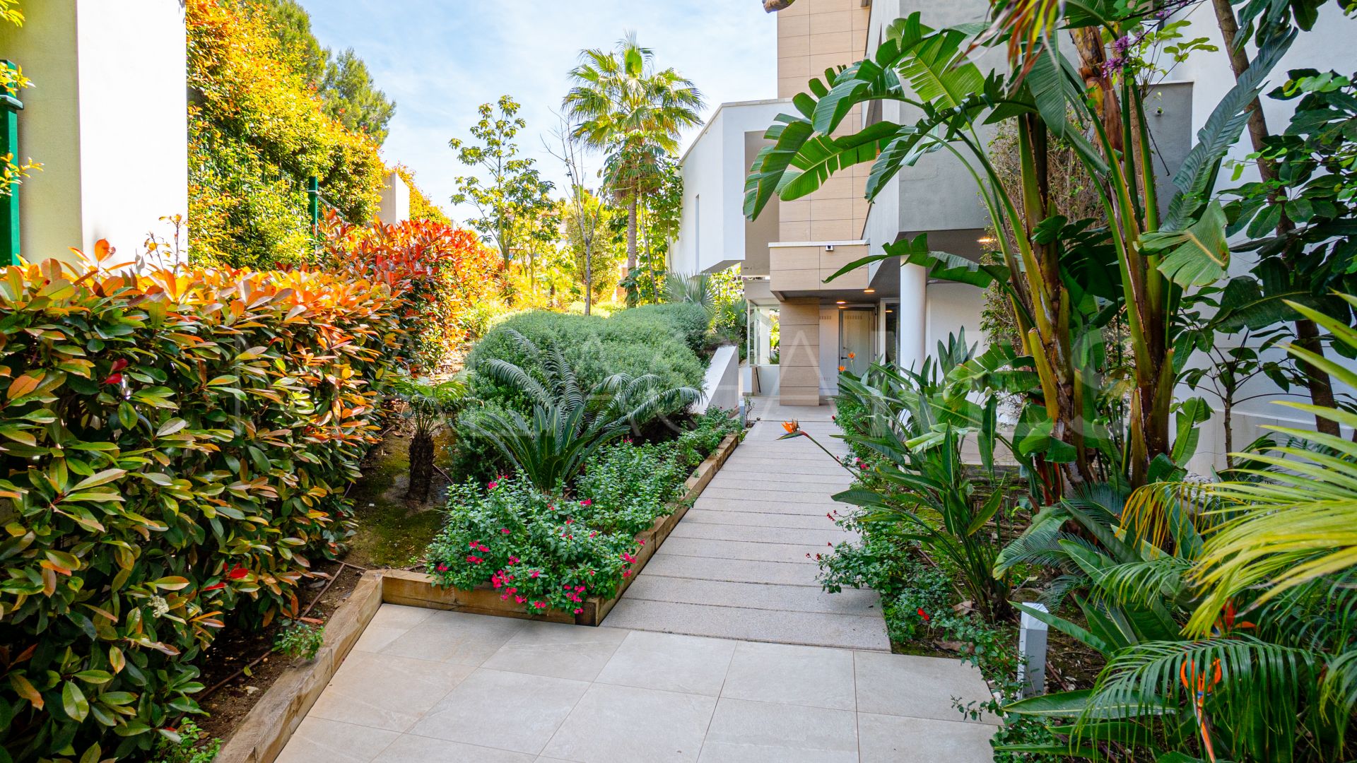 Duplex penthouse in Nueva Andalucia for sale