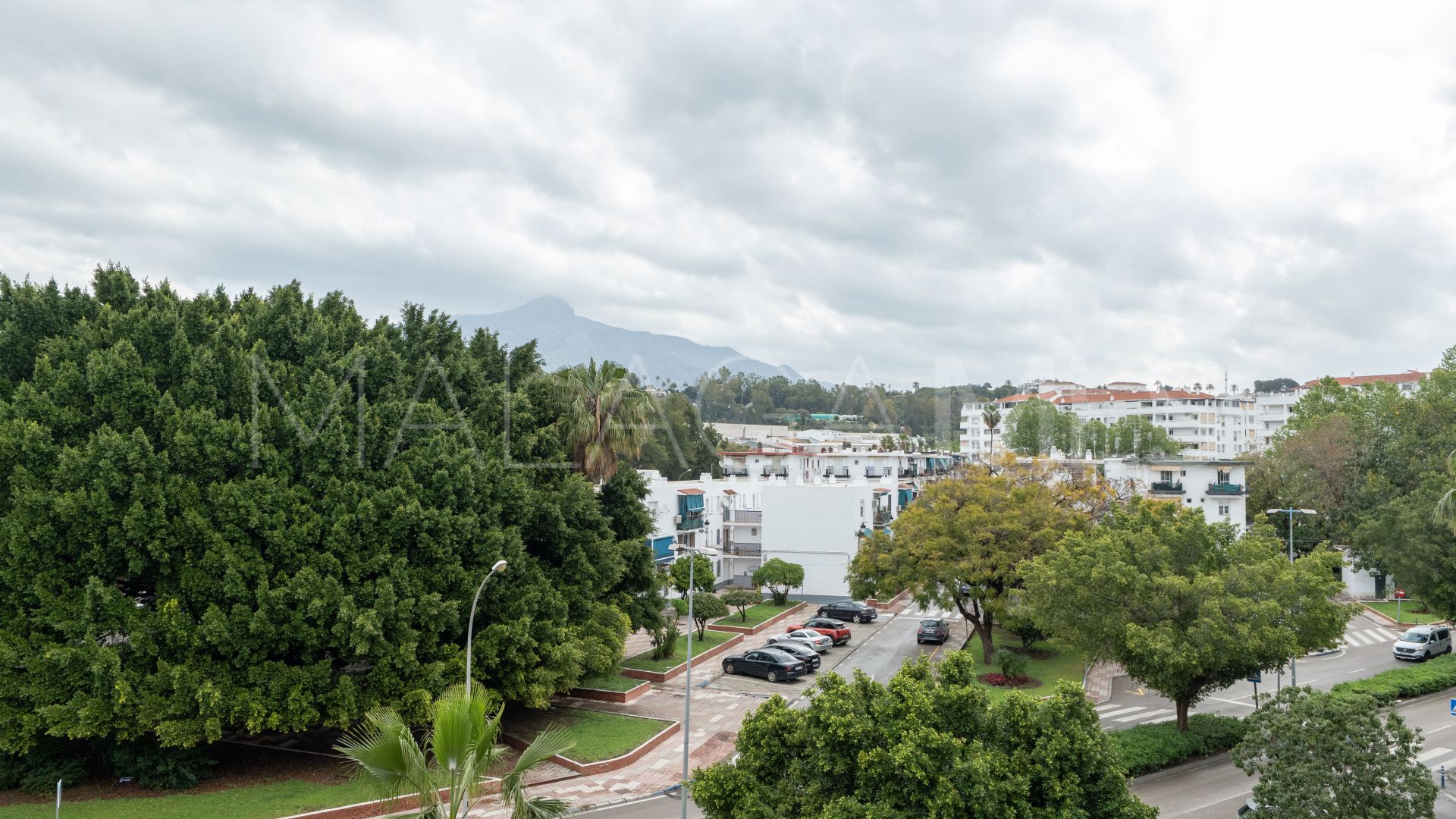 Wohnung for sale in Nueva Andalucia