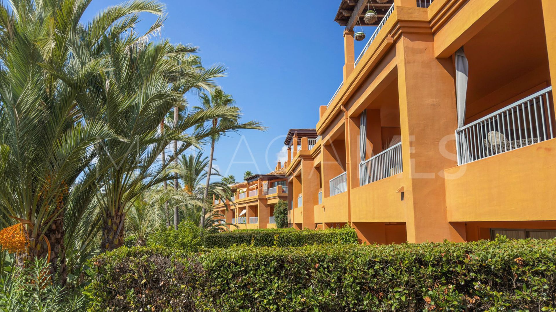 Buy apartamento planta baja in Benatalaya
