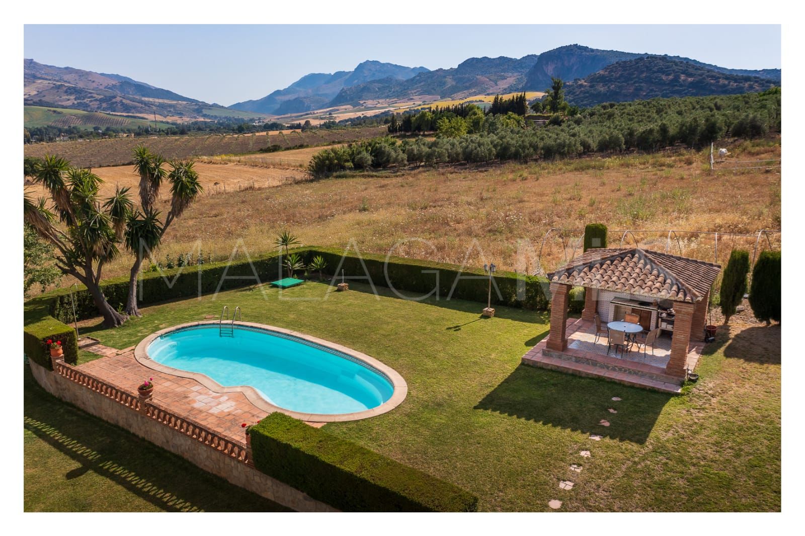 Buy finca in Ronda