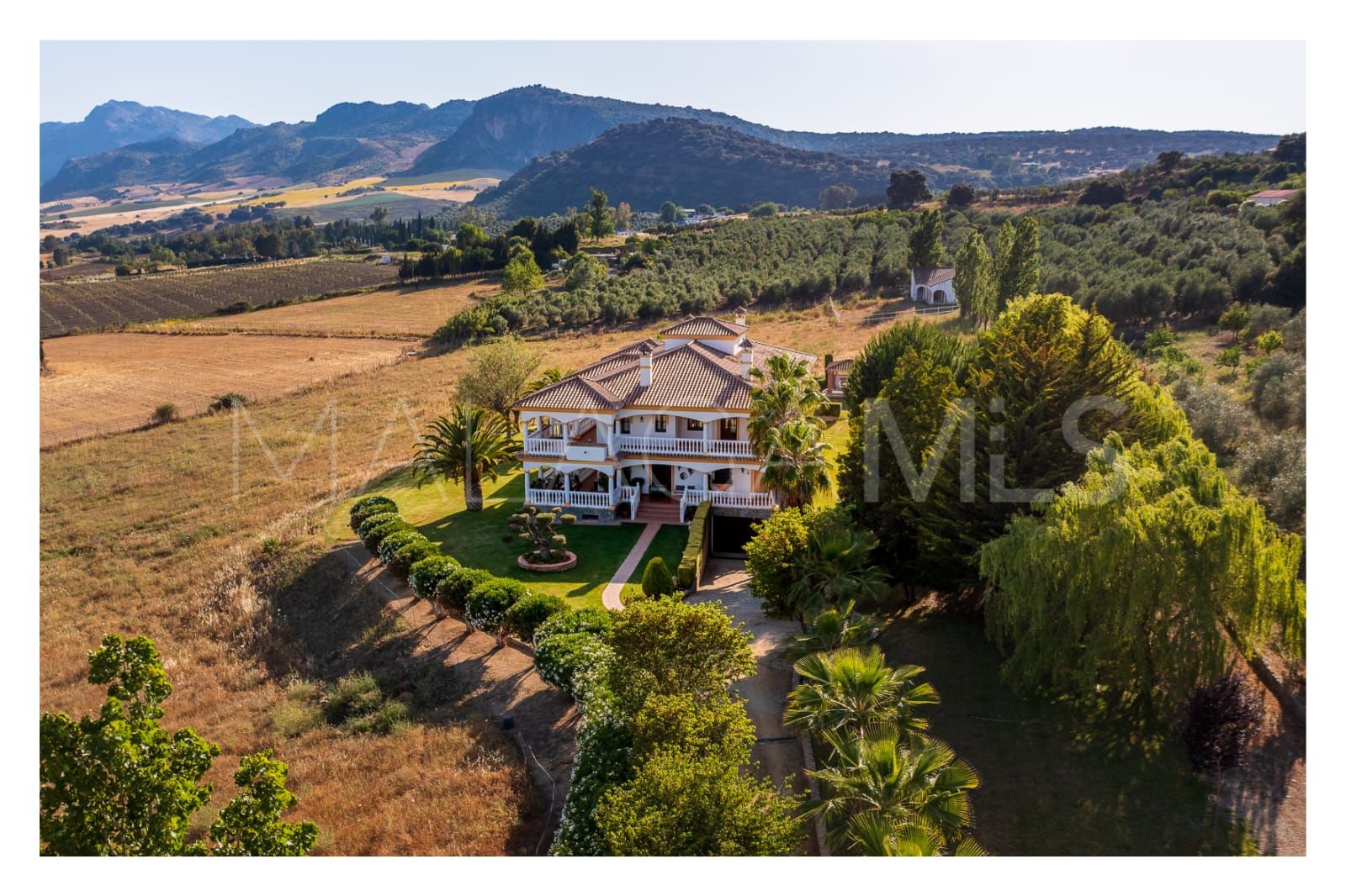 Finca for sale in Ronda