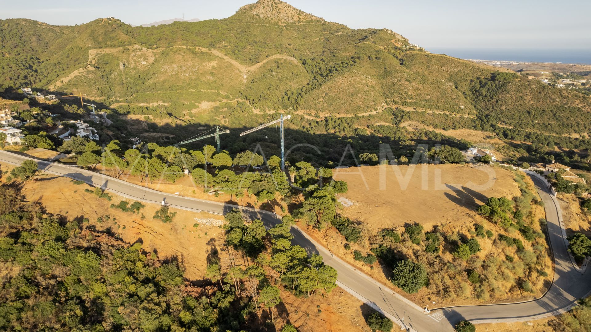 Monte Mayor, parcela a la venta